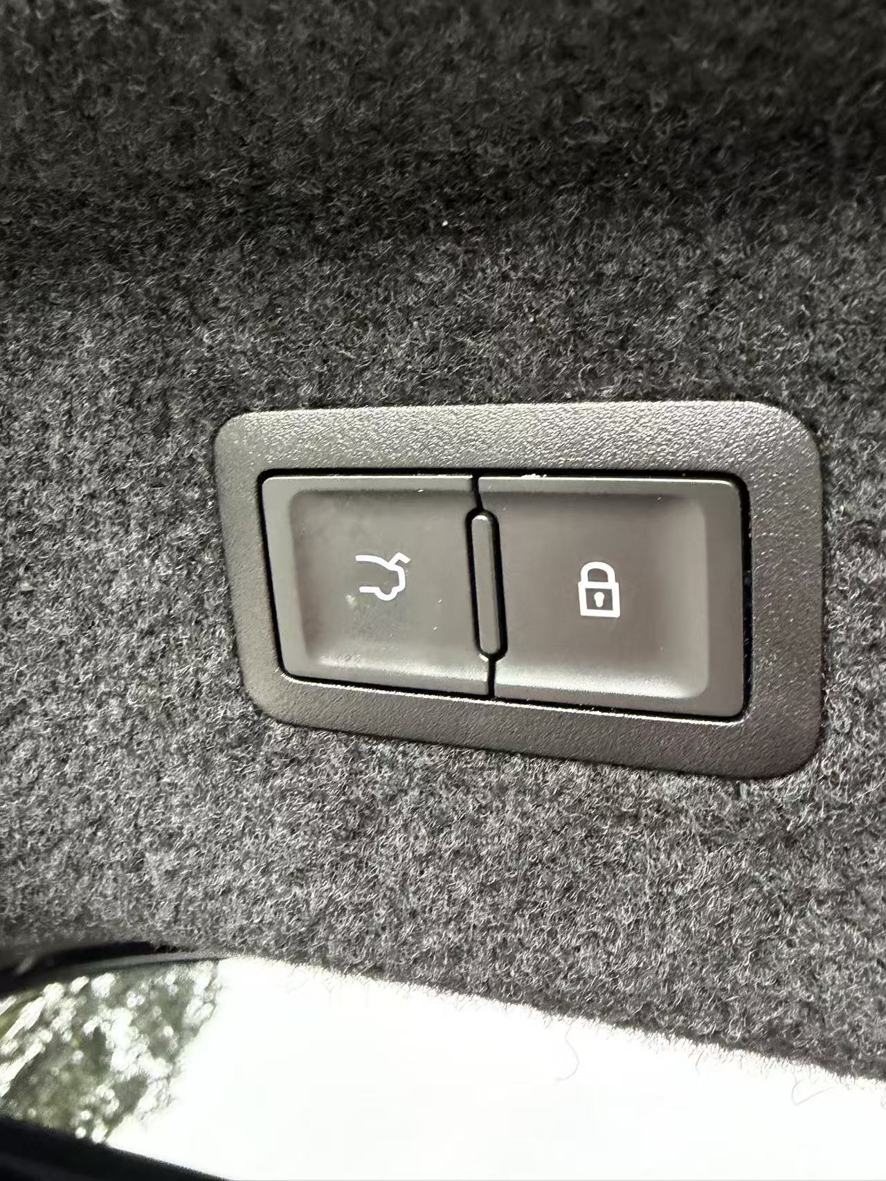 HongQi H9 2020 car image #10