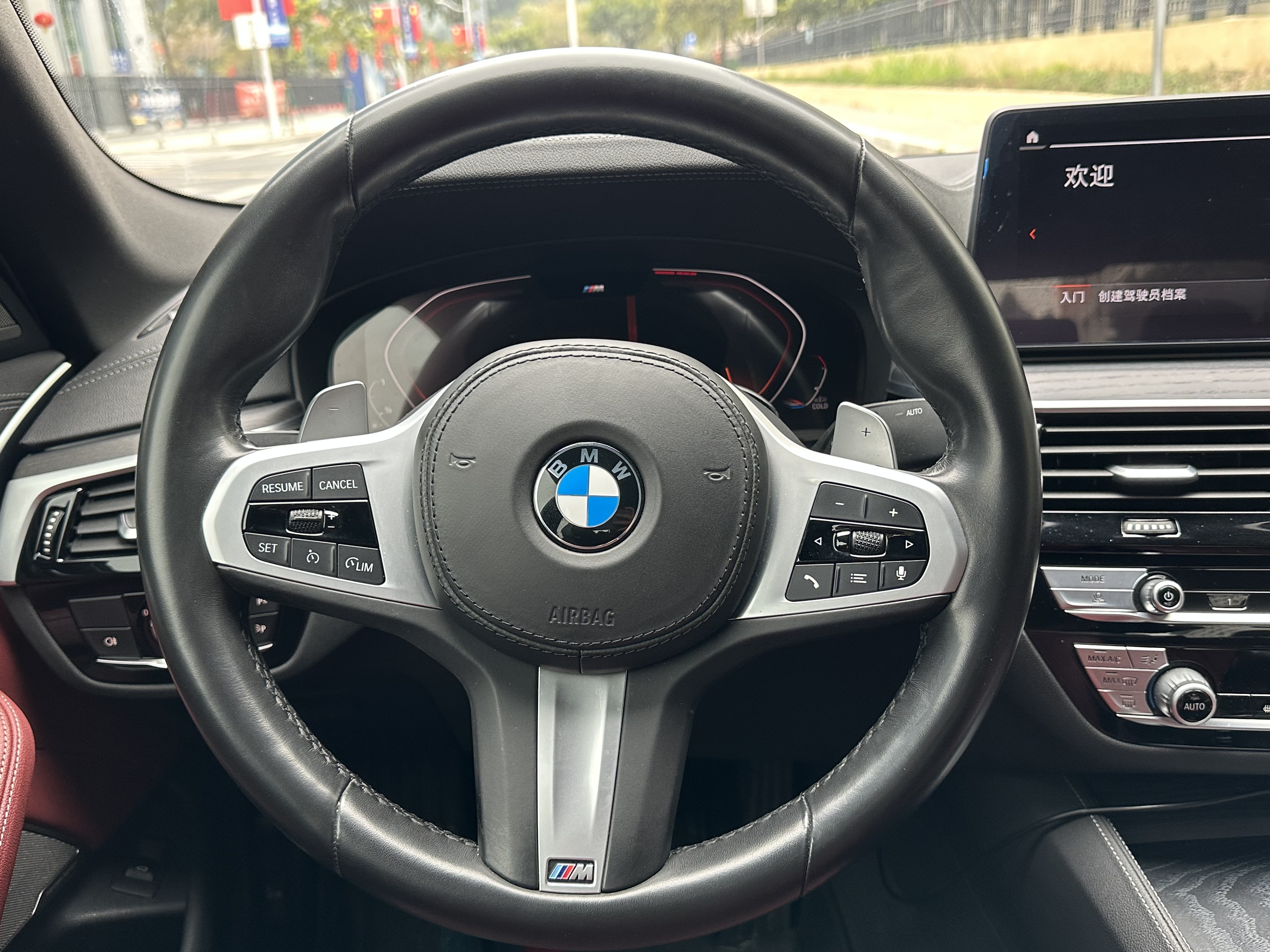 BMW 5 Series 2020 car image #10