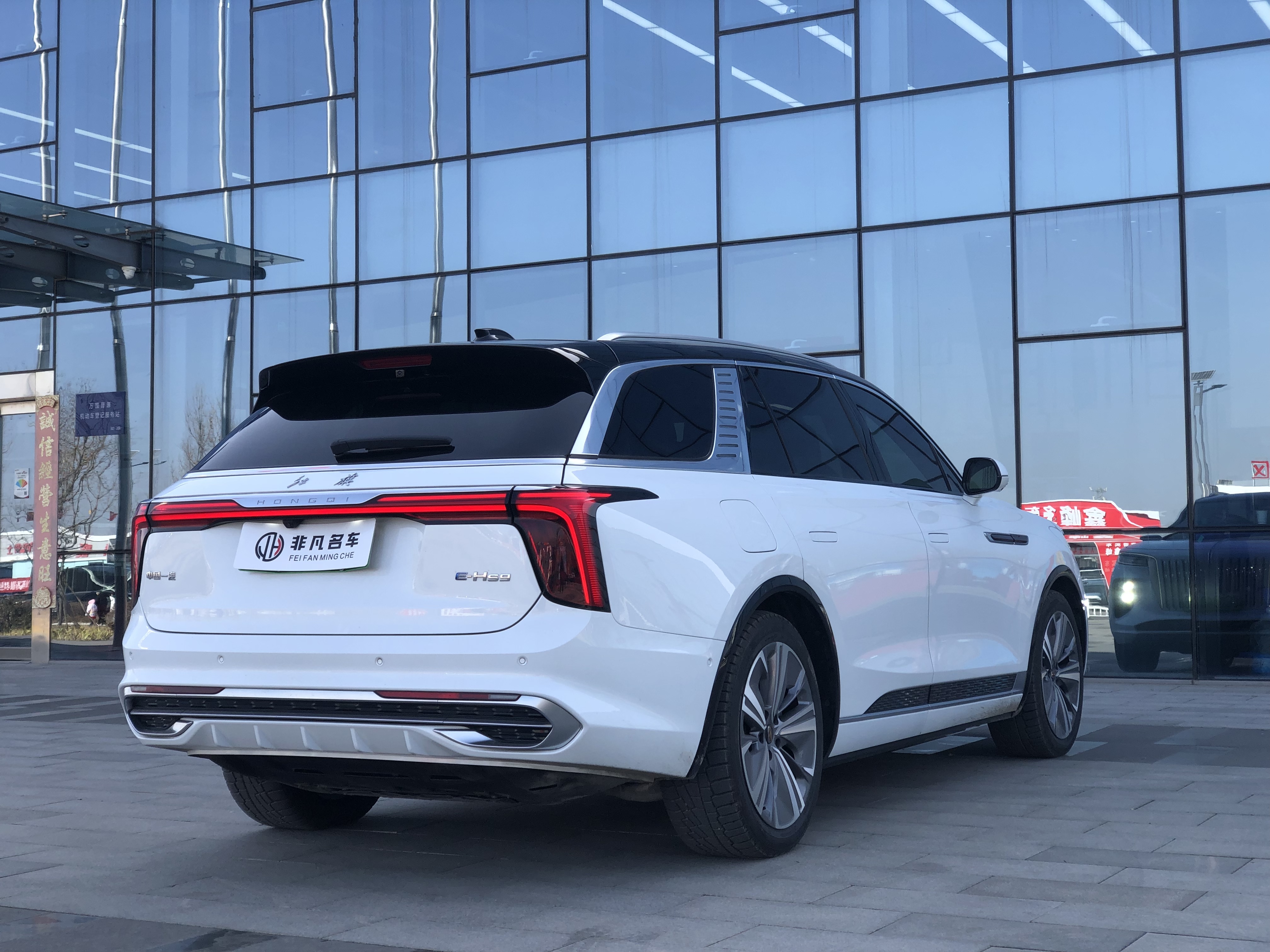 HongQi E-HS9 2021 image de voiture #10