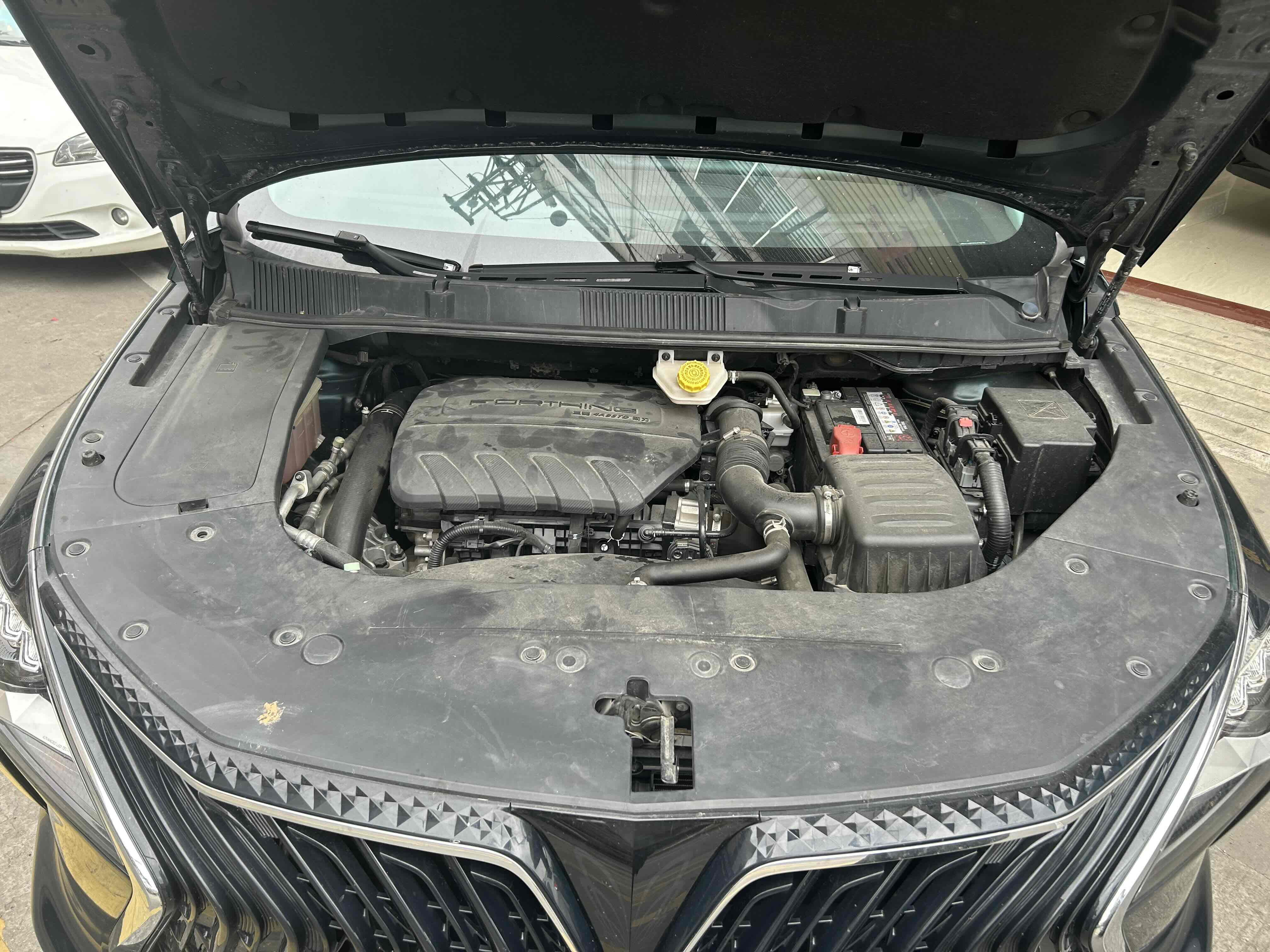 T5 EVO 2022 car image #10