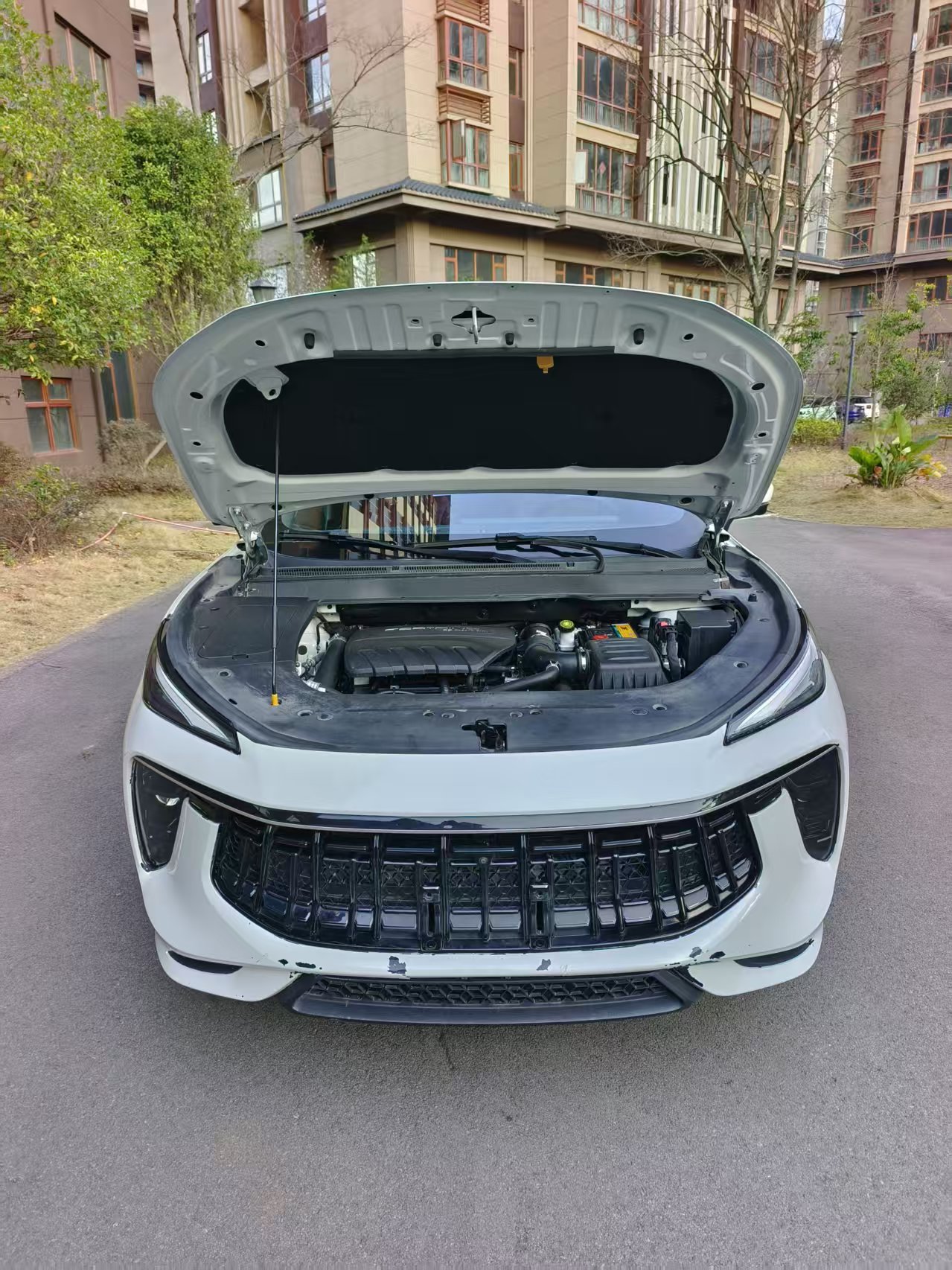 Forthing T5 EVO 2021 immagine di auto #10