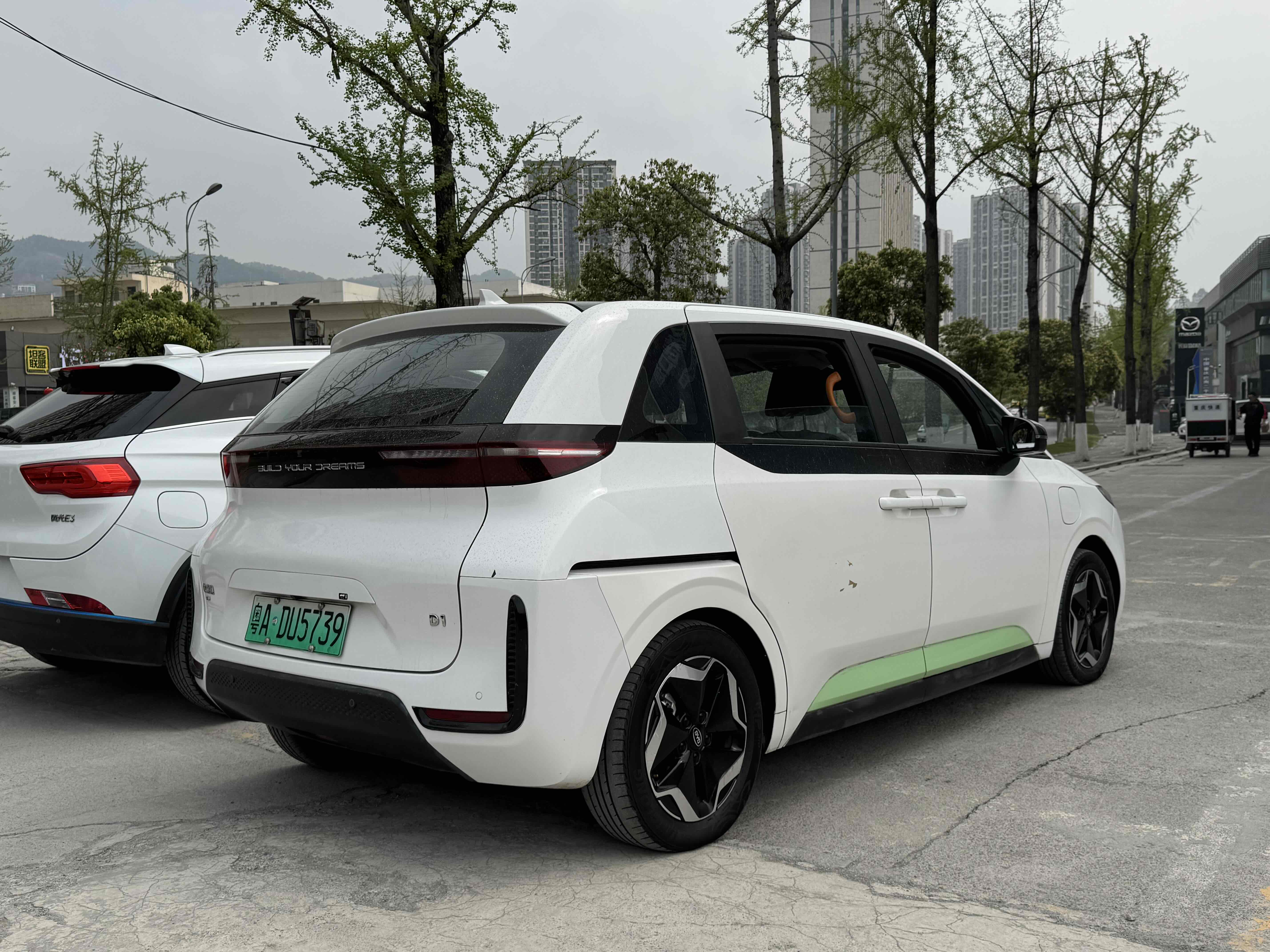 BYD D1 2021 immagine di auto #10