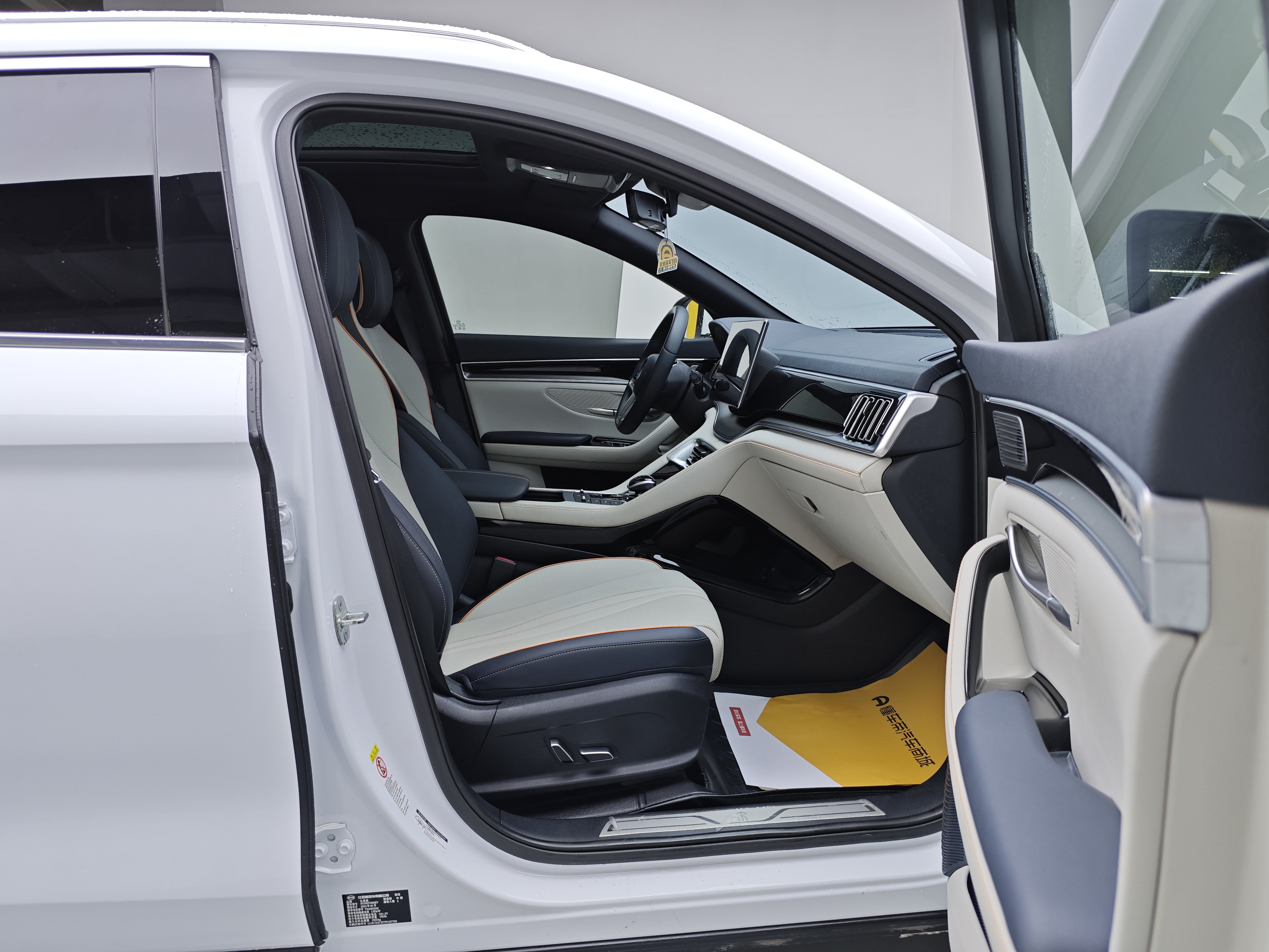 BYD Song Plus New Energy 2023 car image #10