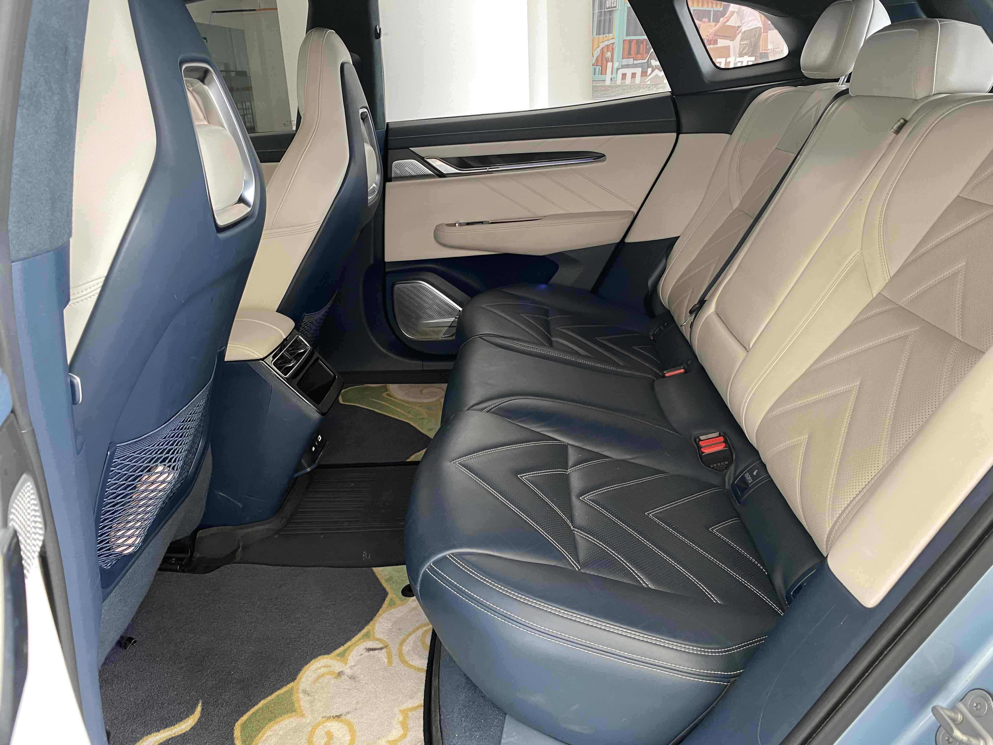 极氪 极氪001 2021 汽车图片 #10