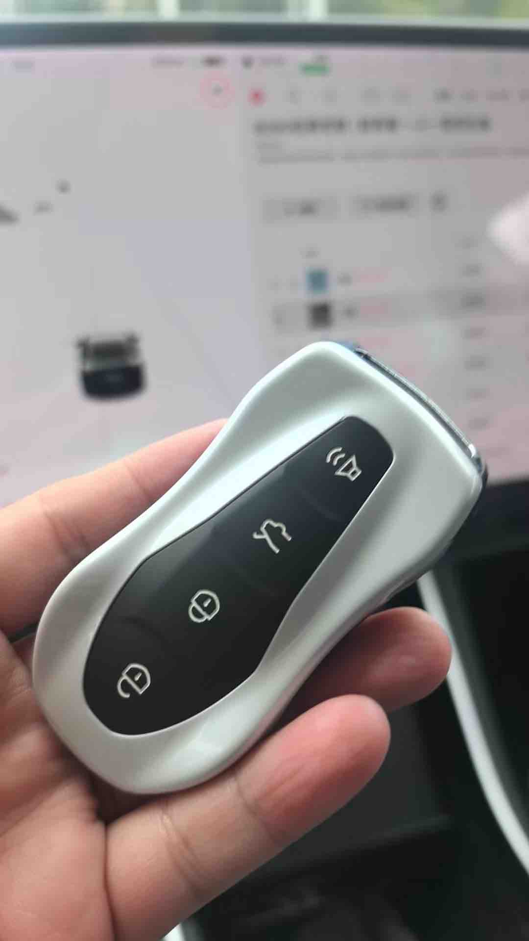 GEELY Tugella 2022 car image #10