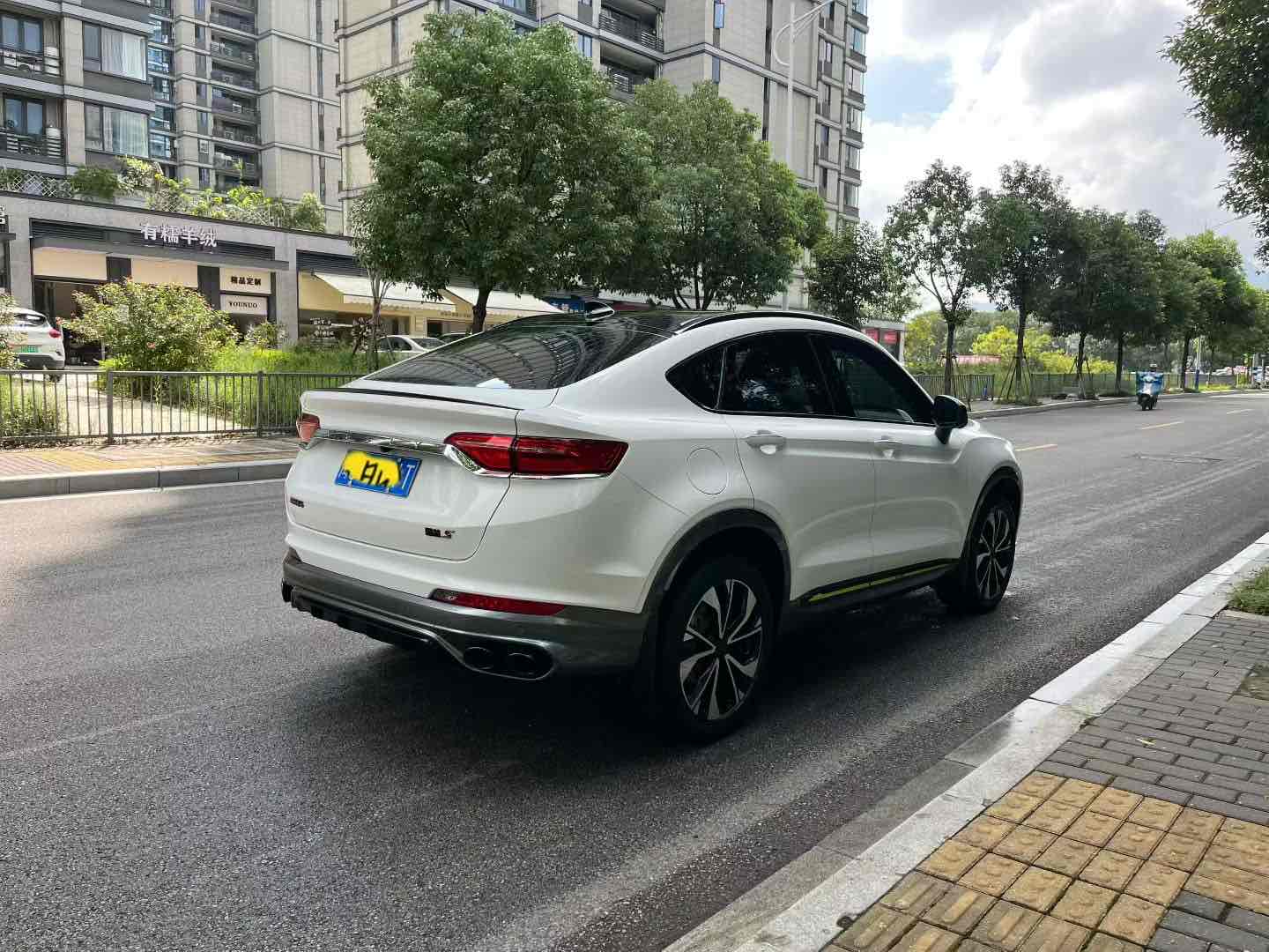 GEELY Tugella S 2021 #10 GEELY Tugella S 2021 car image #10