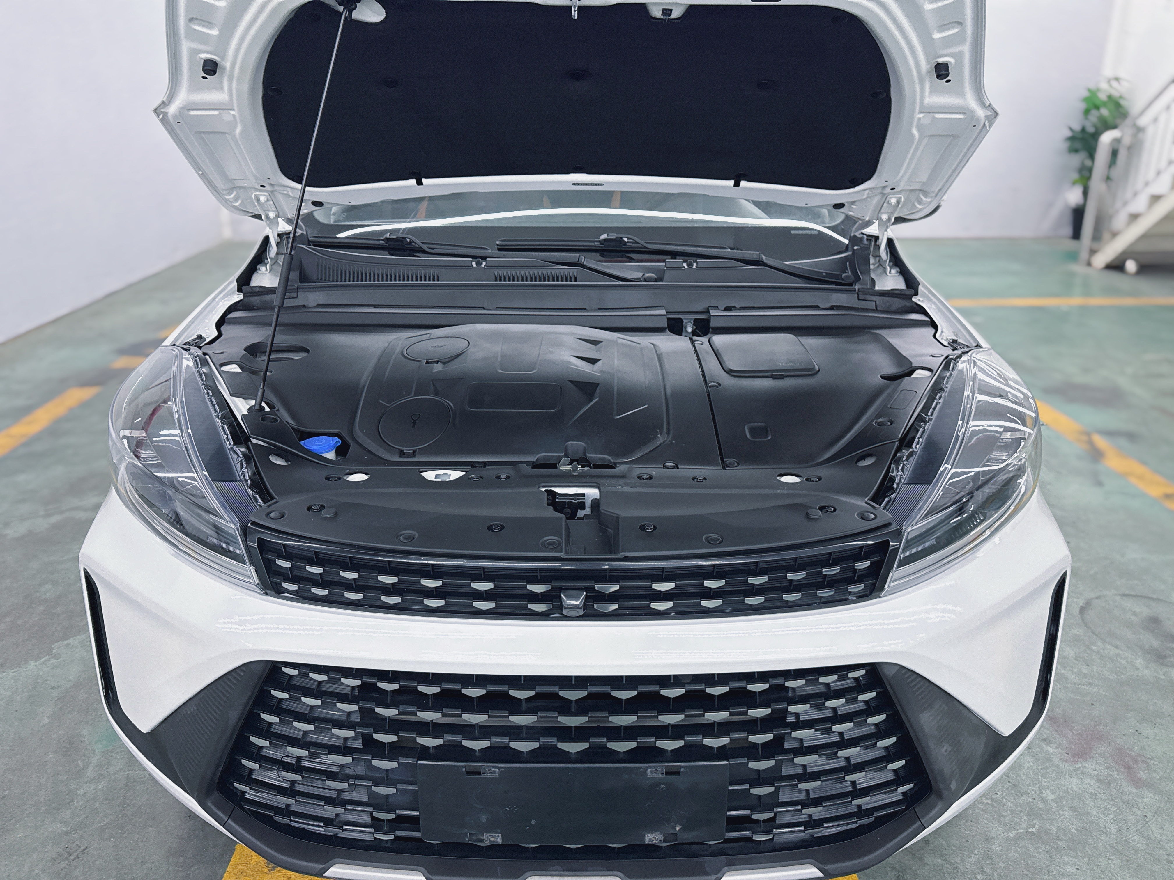 Showjet Pro 2021 car image #10