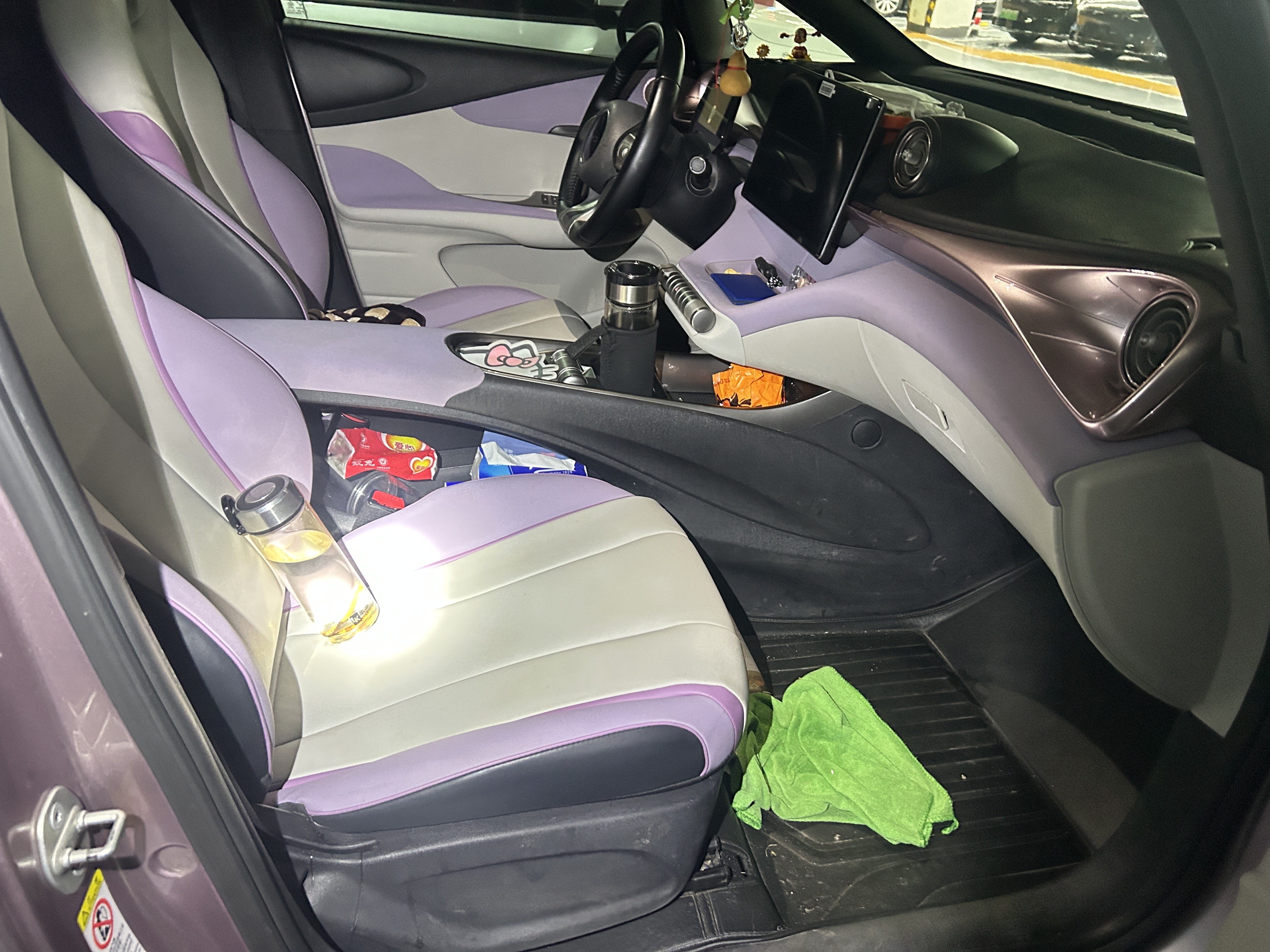 BYD Dolphin 2022 car image #10