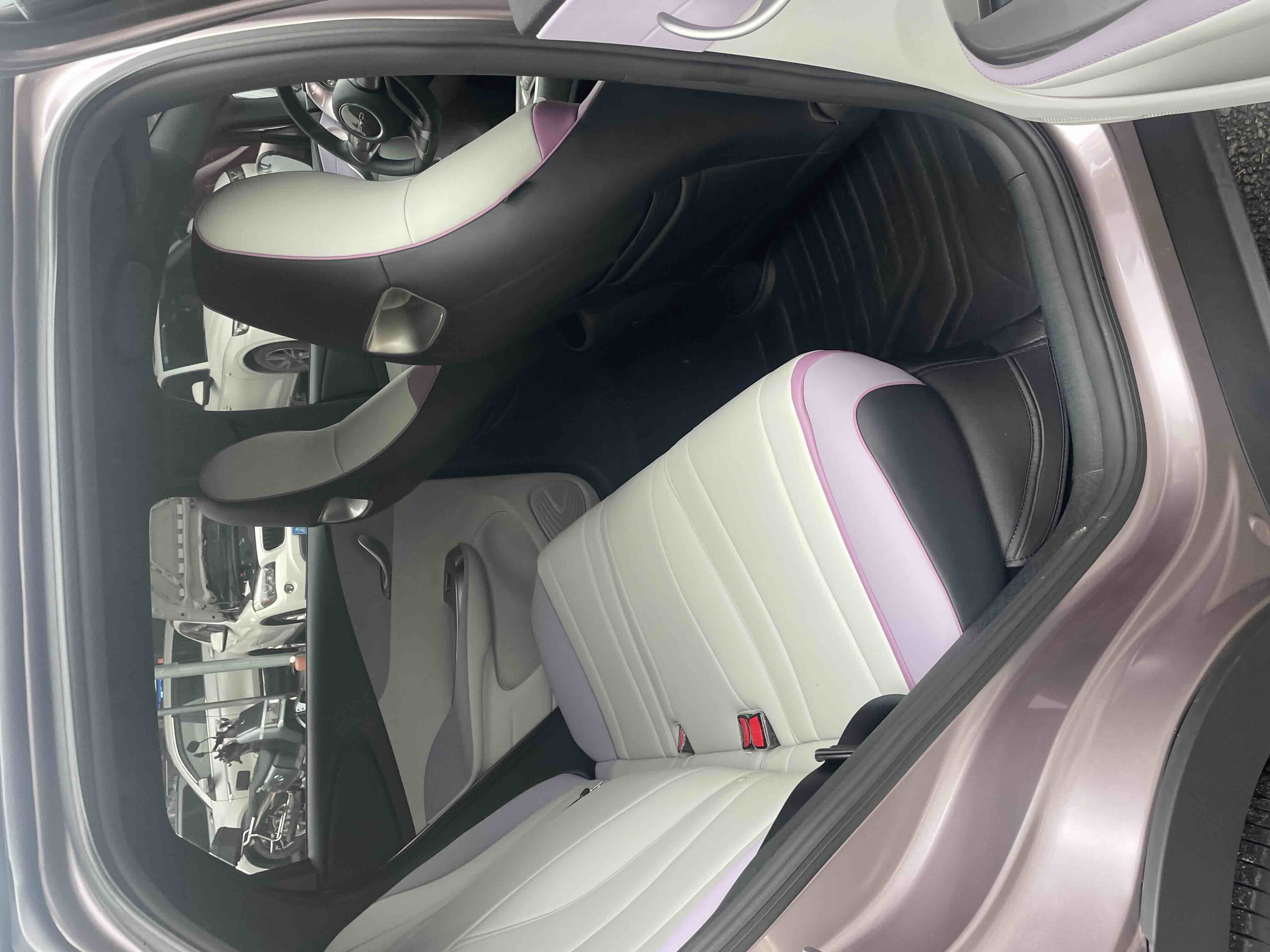 BYD Dolphin 2022 صورة سيارة #10