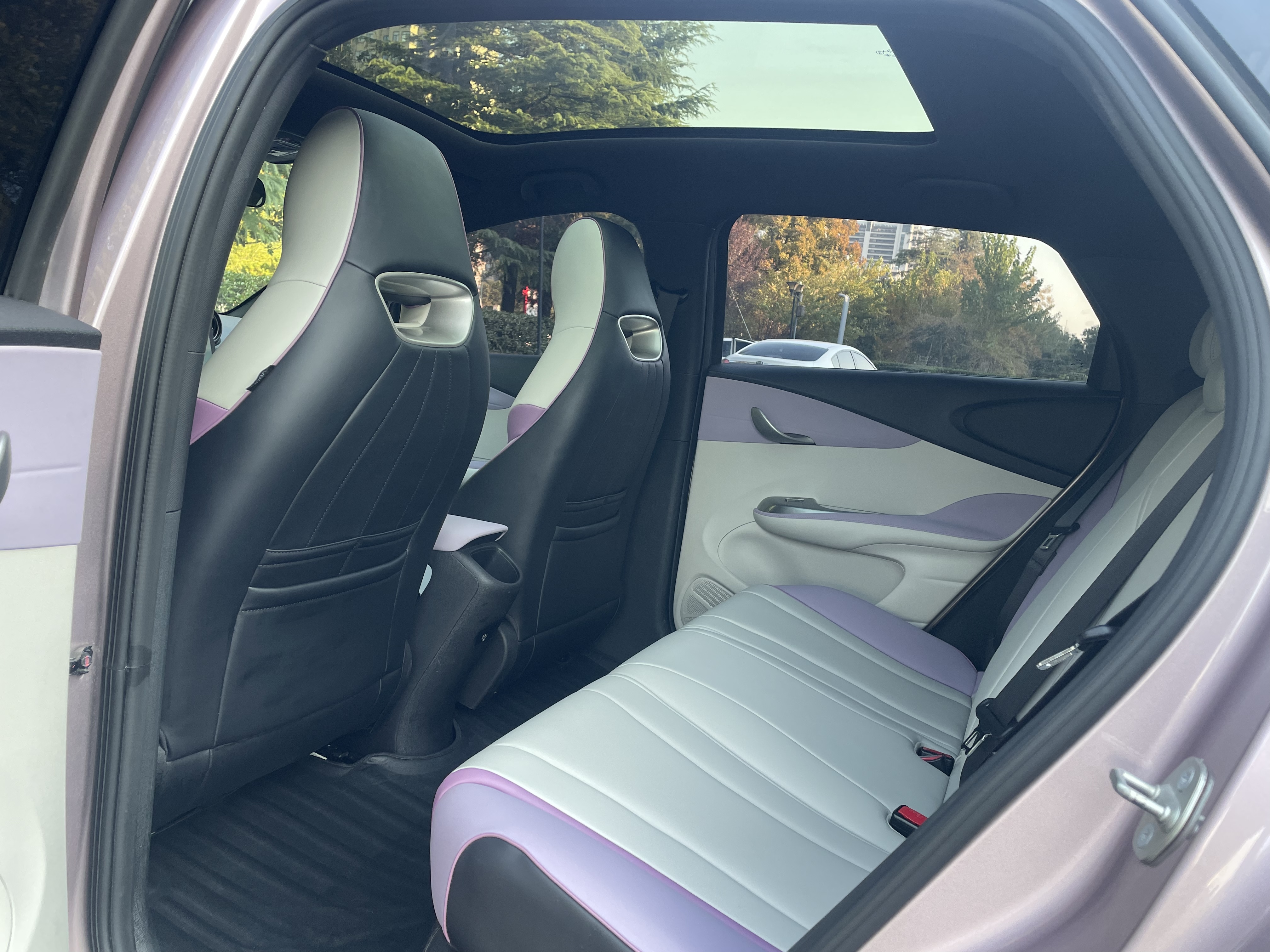 BYD Dolphin 2023 صورة سيارة #10