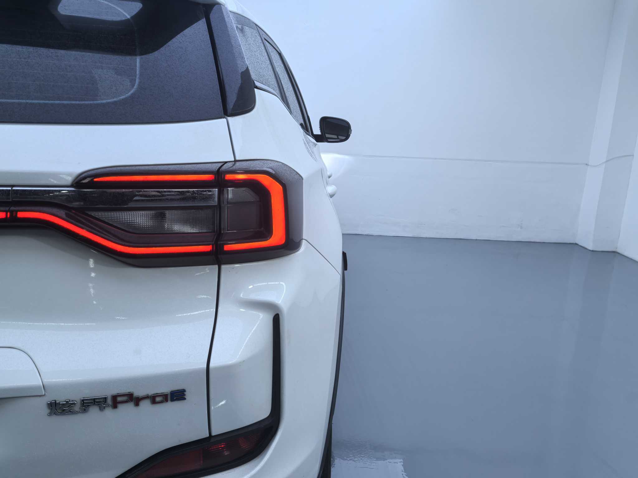 Showjet Pro EV 2022 car image #10