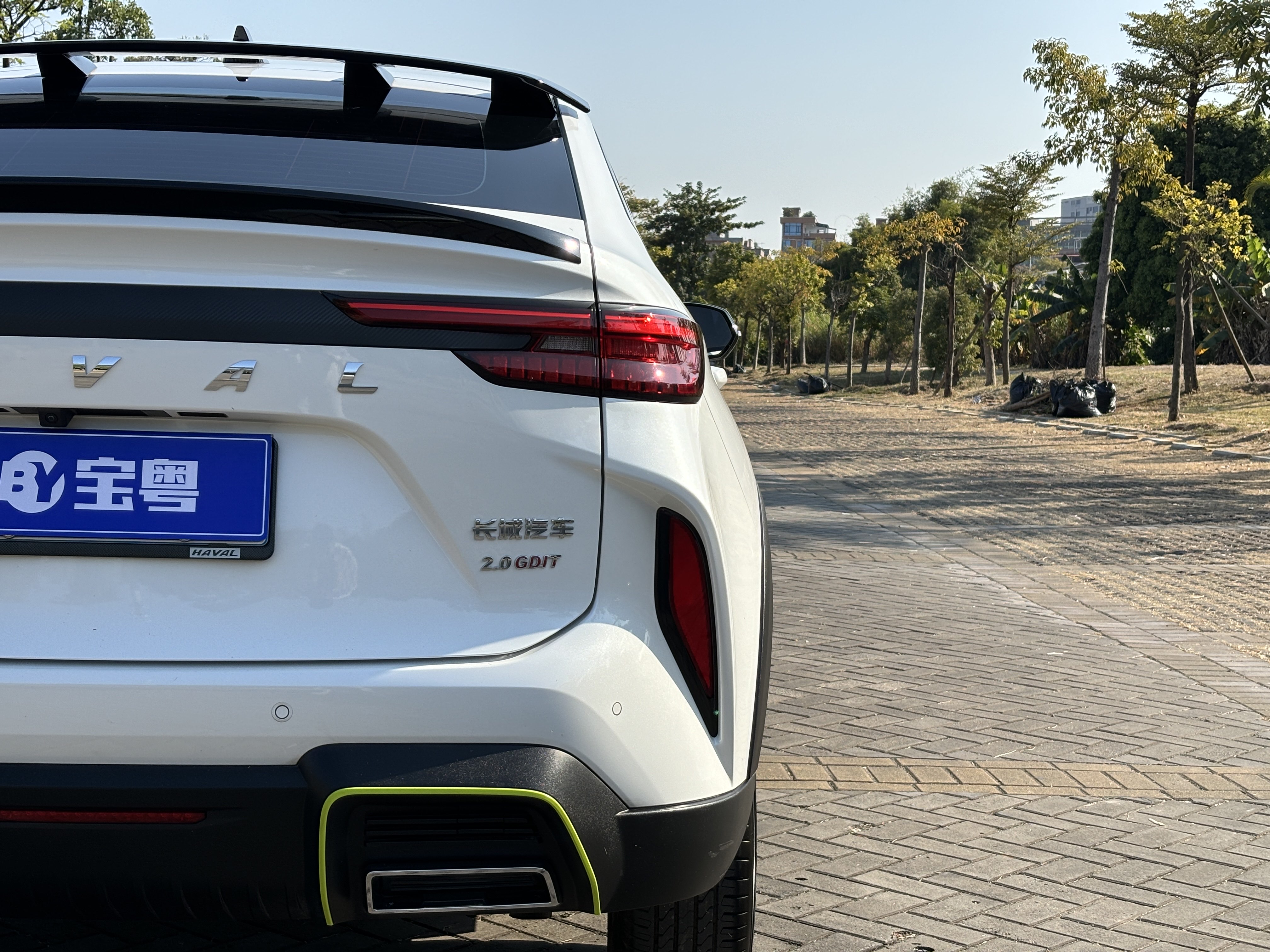 Haval H6S 2024 #10 Haval H6S 2024 car image #10