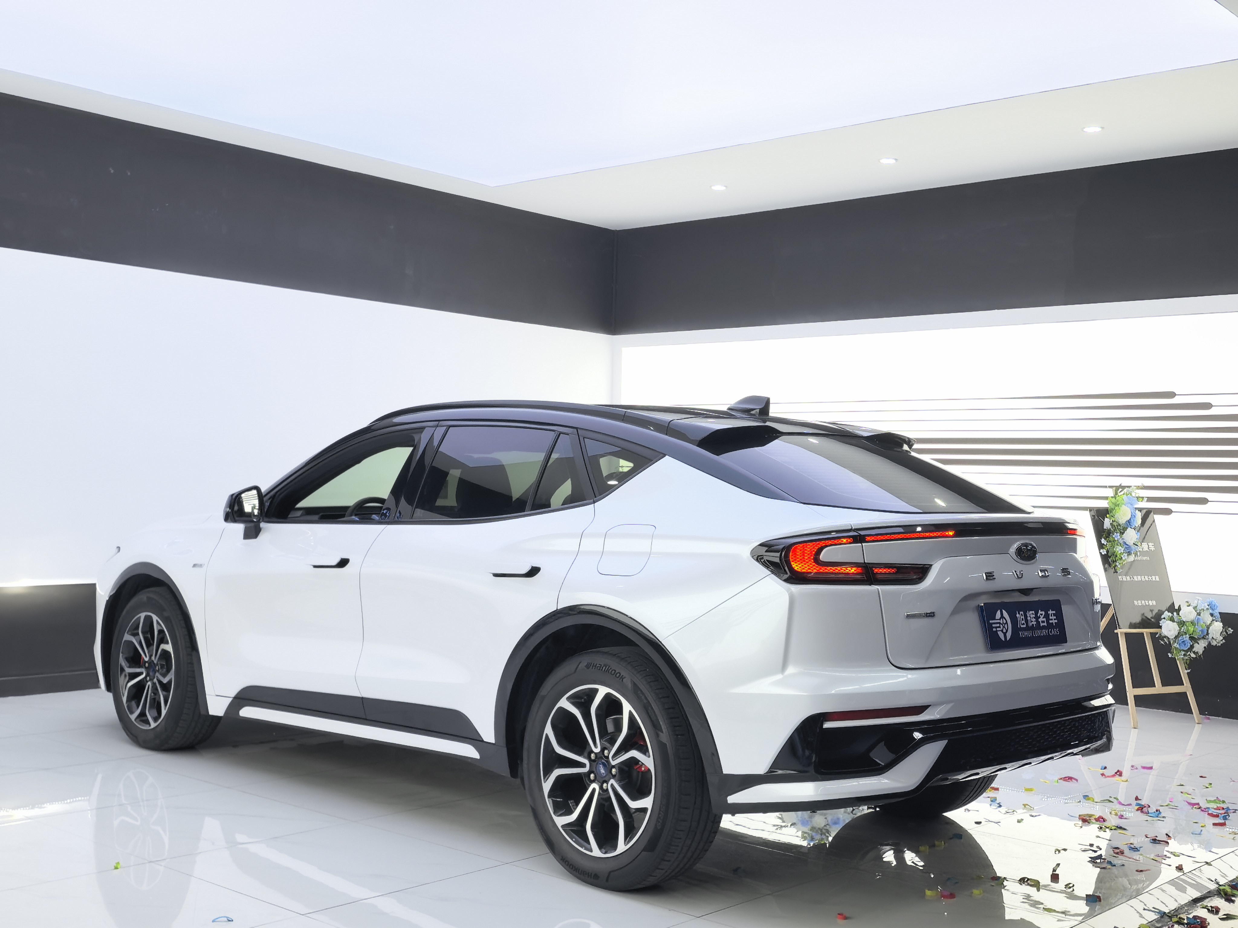 Ford Evos 2022 imagem de carro #10