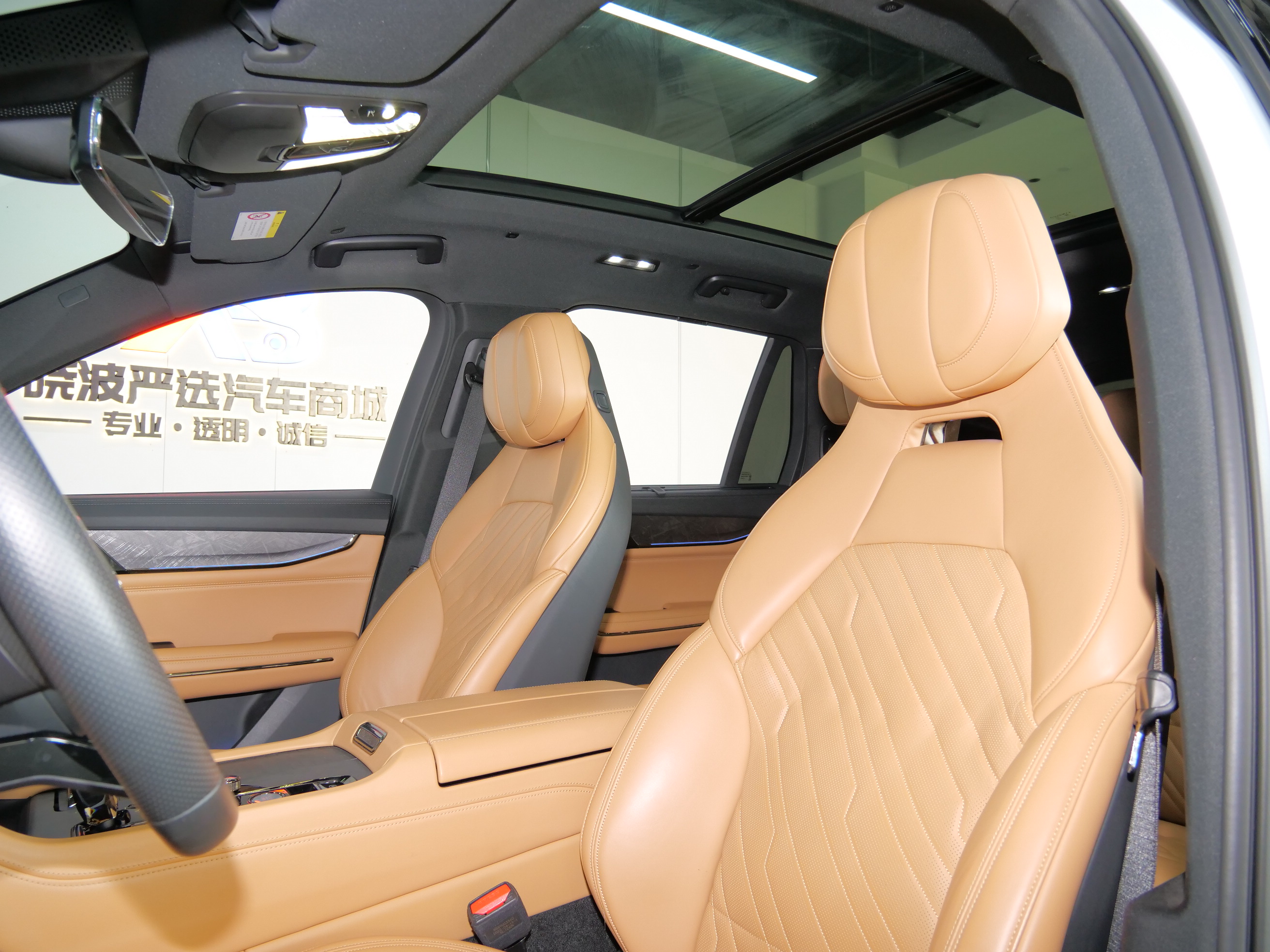 Lynk & Co 09 EM-P 2022 car image #10