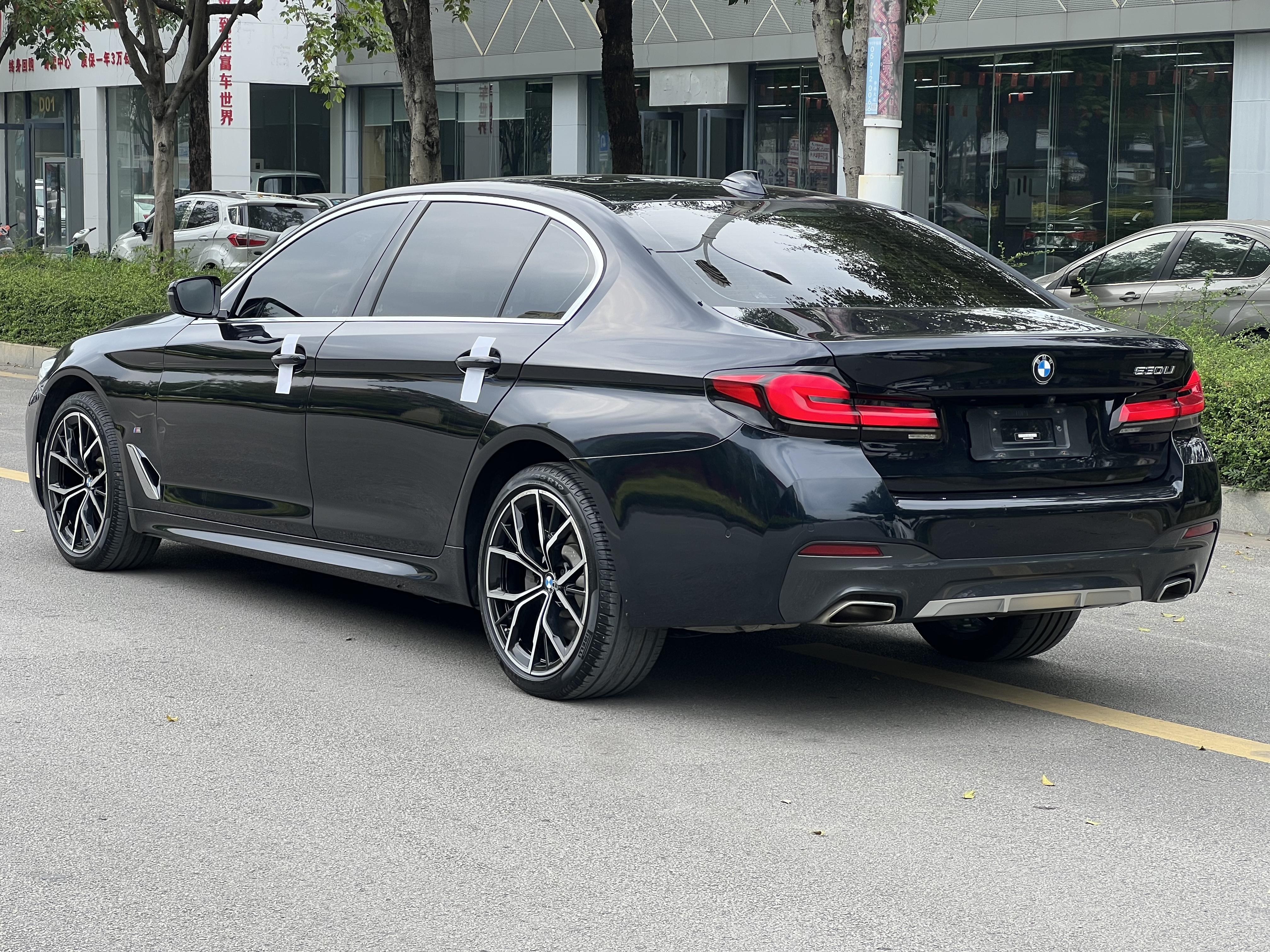 BMW 5 Series 2023 car image #10