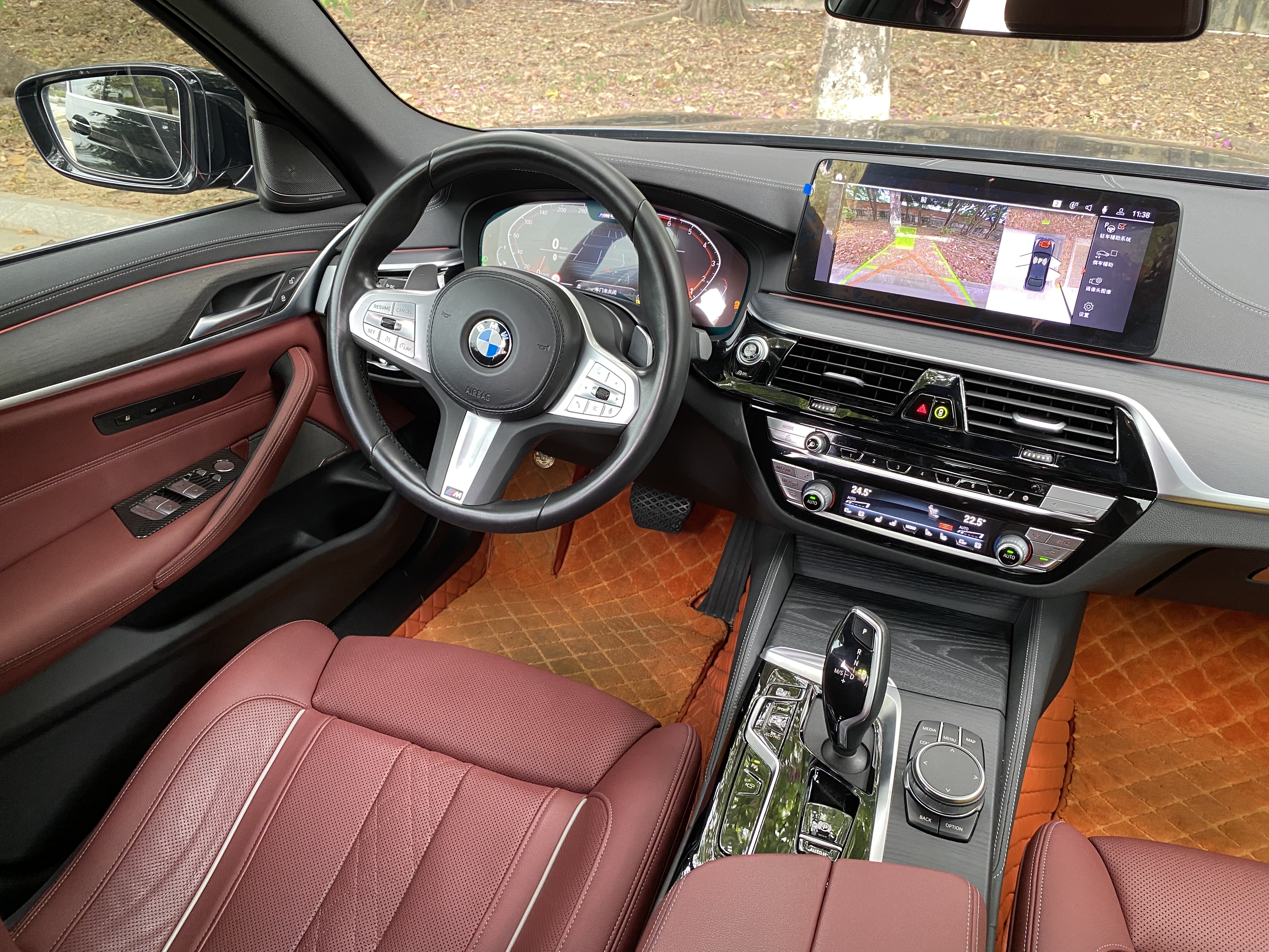 BMW 5 Series 2022 car image #10
