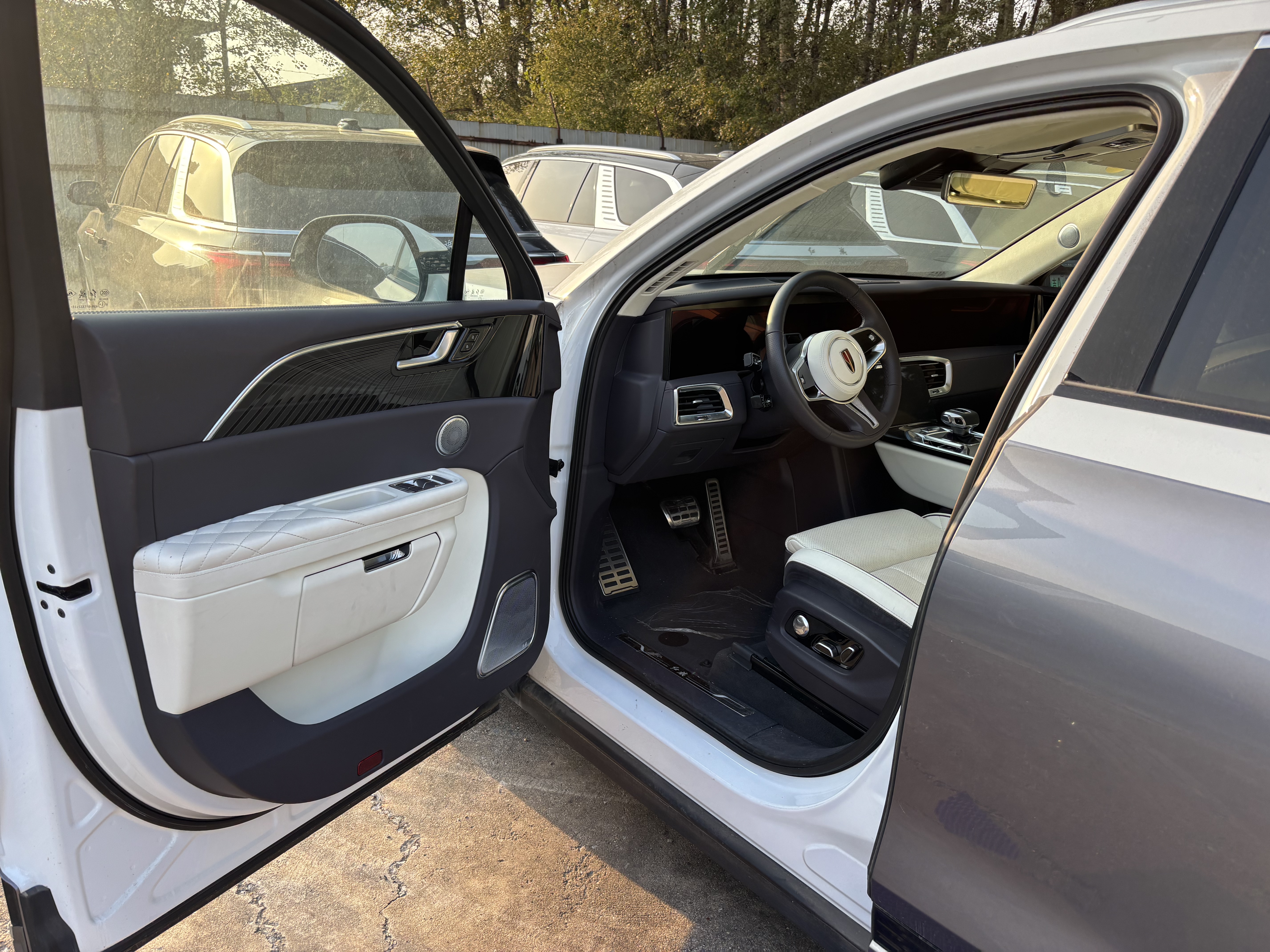 HongQi E-HS9 2023 #10 HongQi E-HS9 2023 car image #10