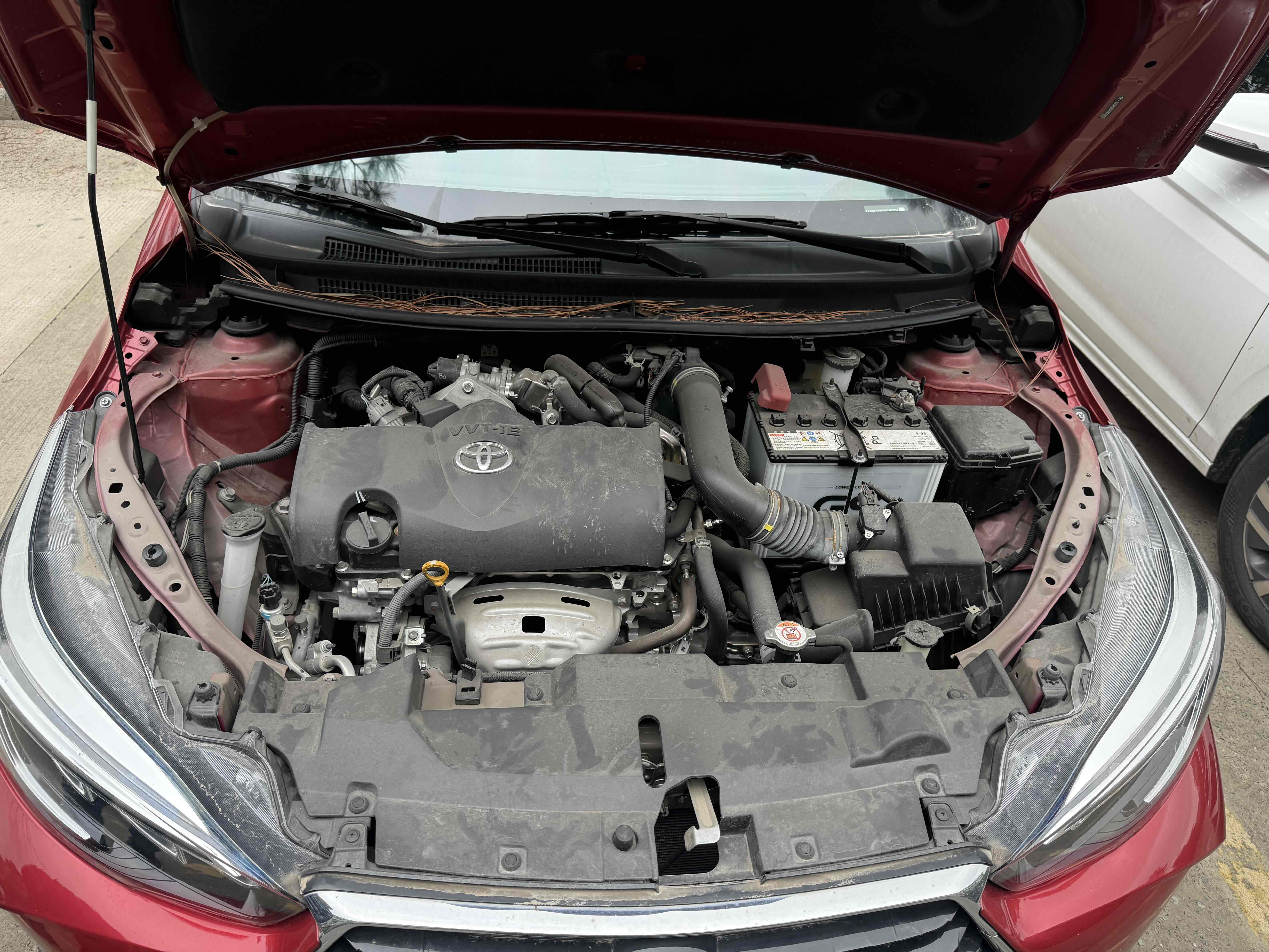 Yaris L Zhixuan 2023 car image #10