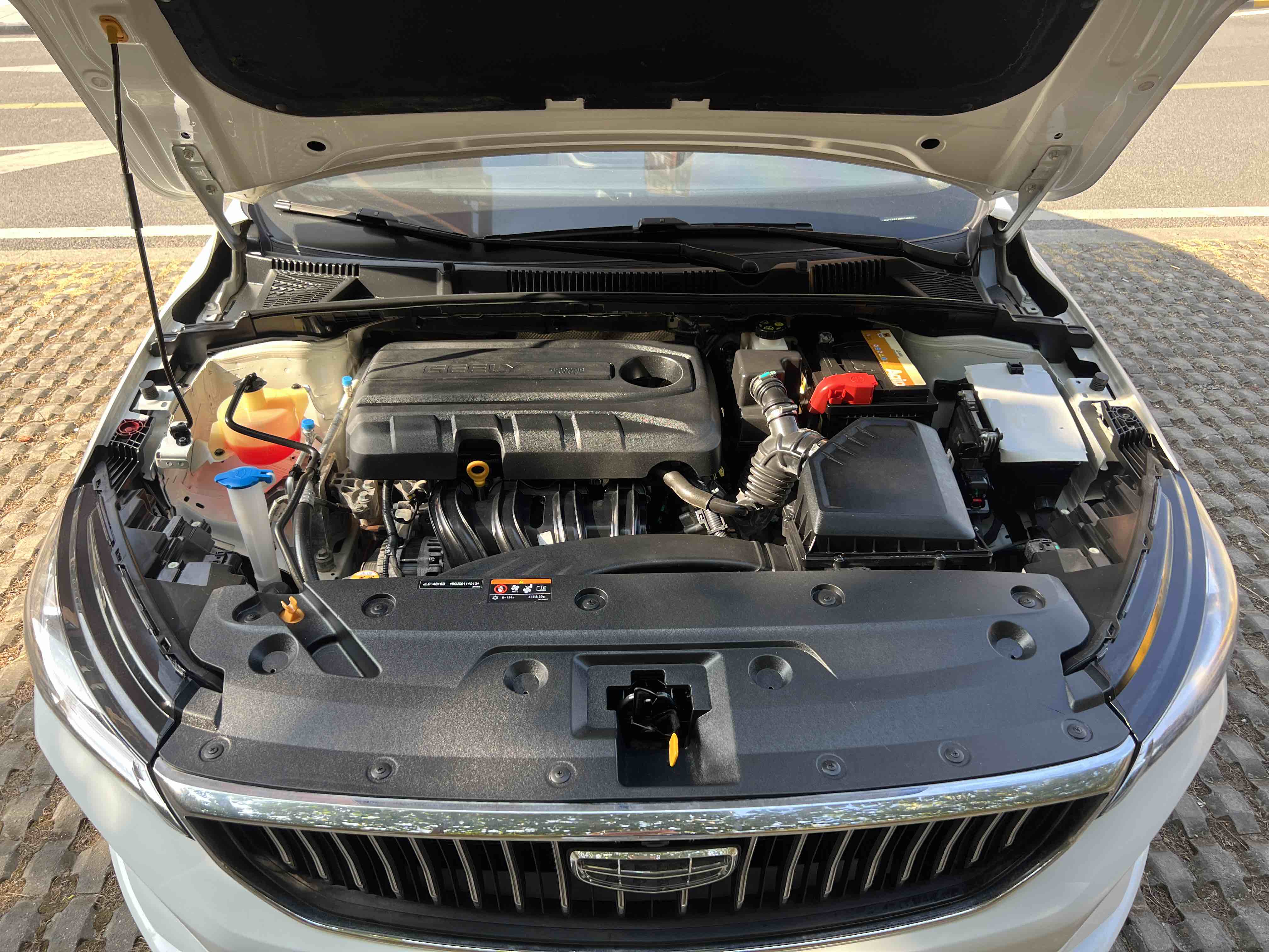Emgrand 2023 car image #10