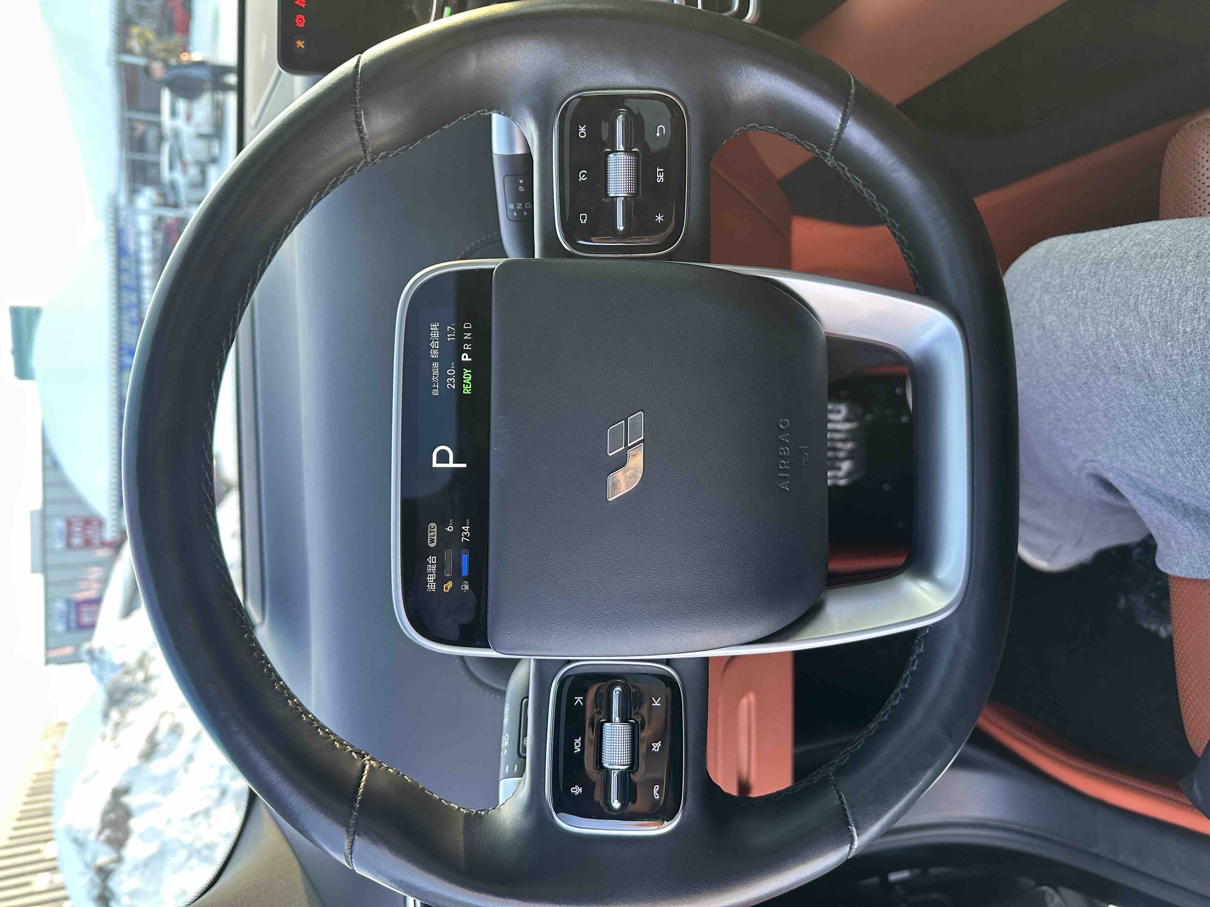 Li L9 2023 imagen de coche #10