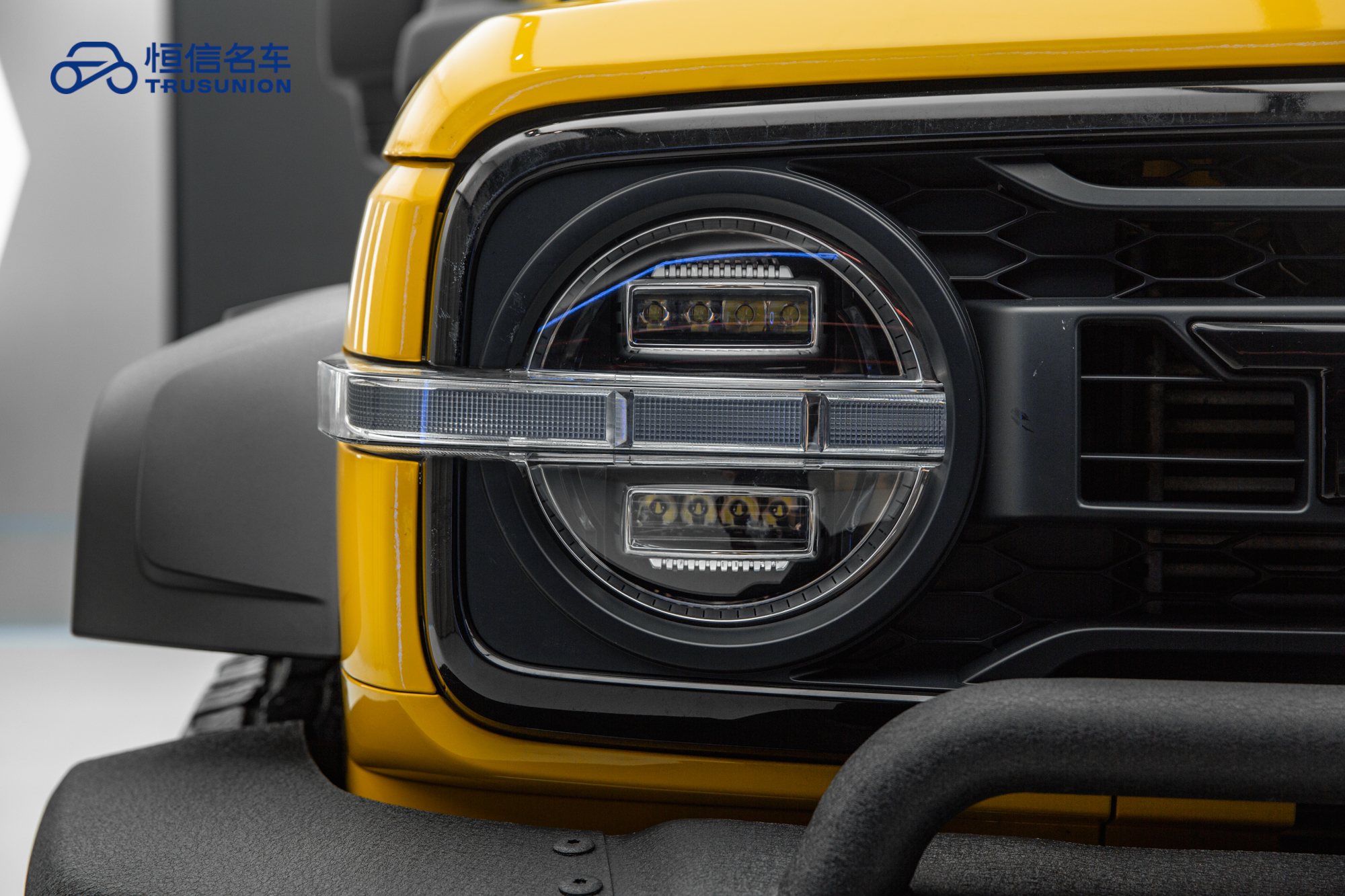 Tank 300 2023 car image #10