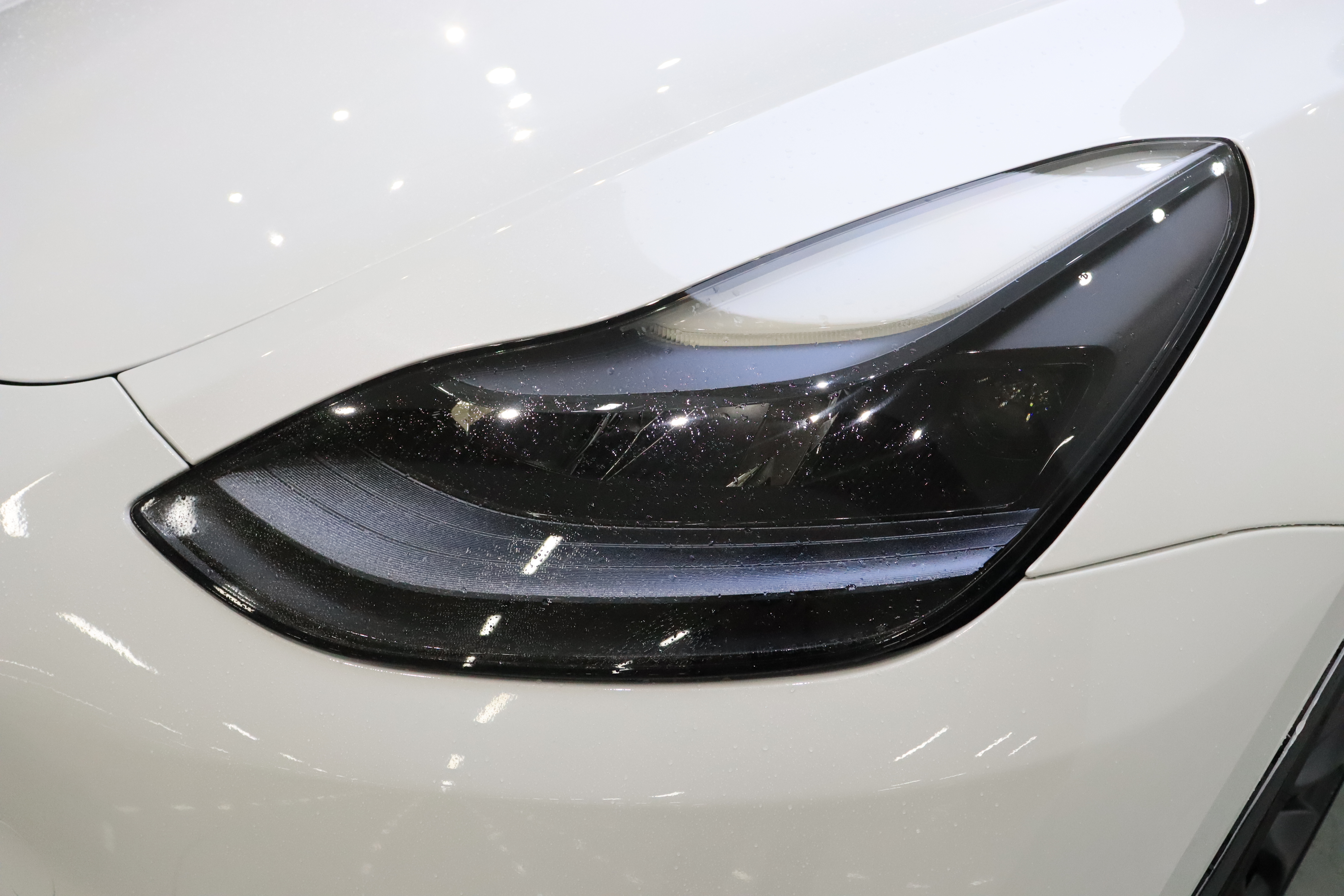 Tesla Model Y 2023 #10 Tesla Model Y 2023 car image #10
