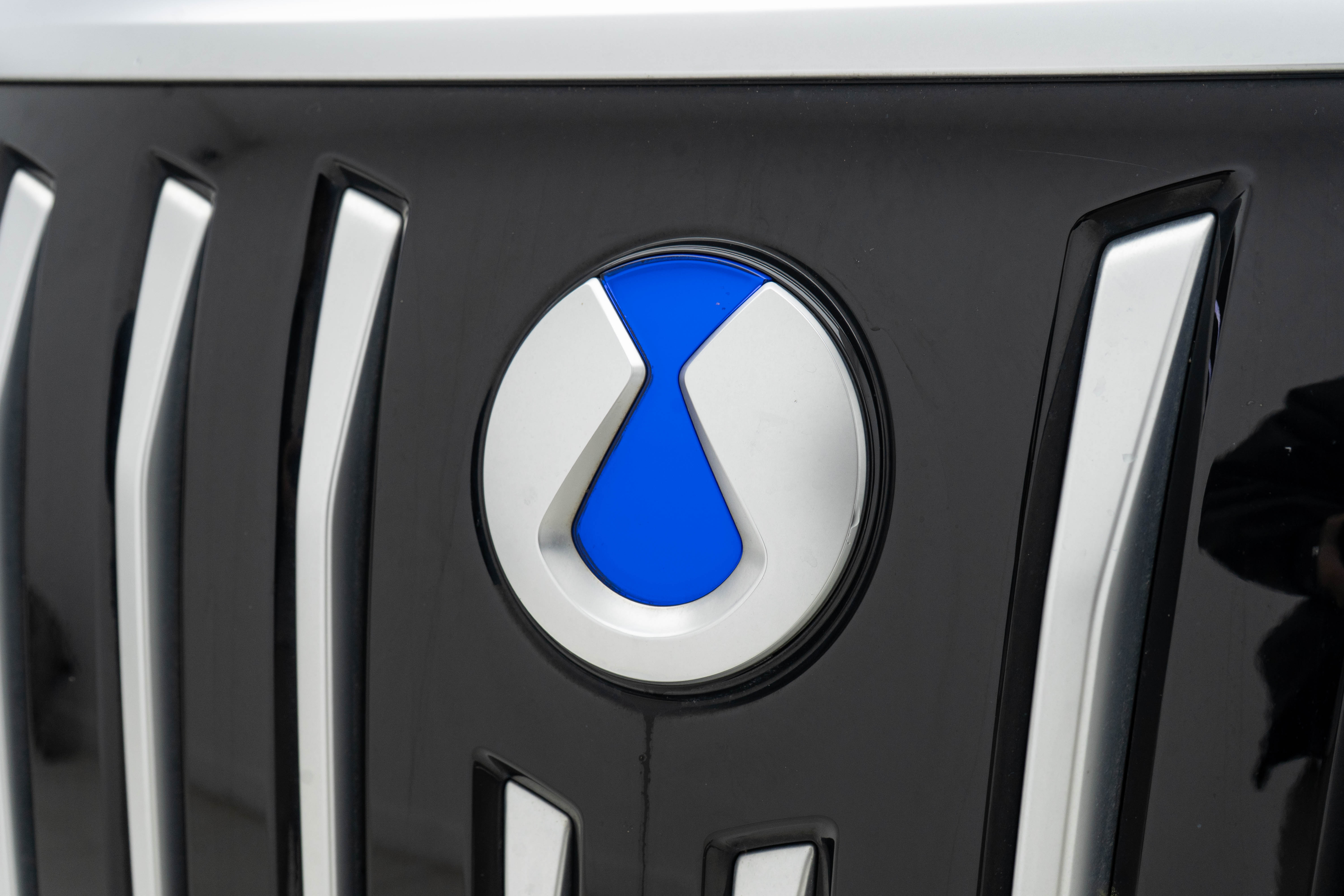 Denza D9 2023 immagine di auto #10