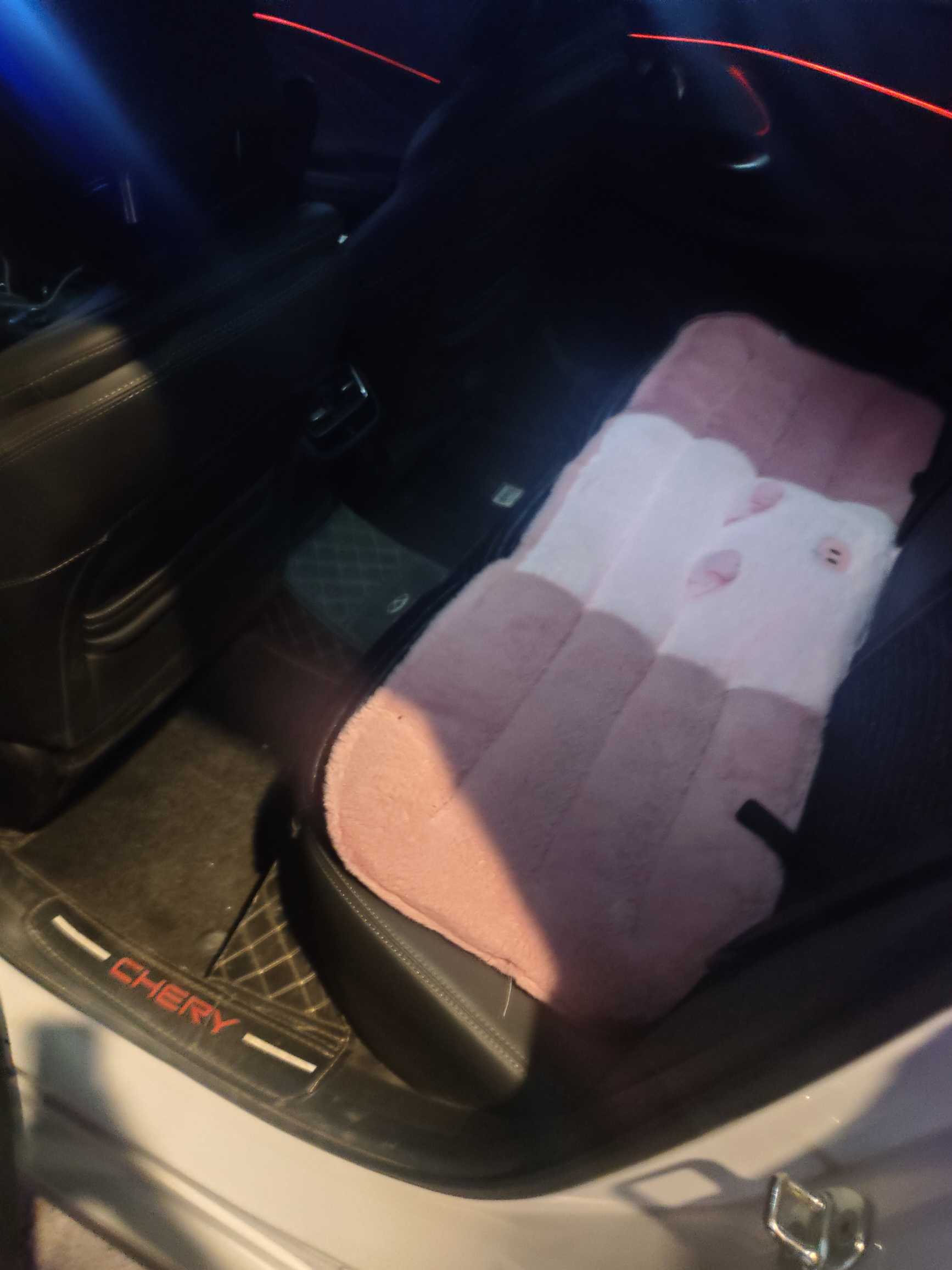 Chery Arrizo 5 GT 2023 car image #10