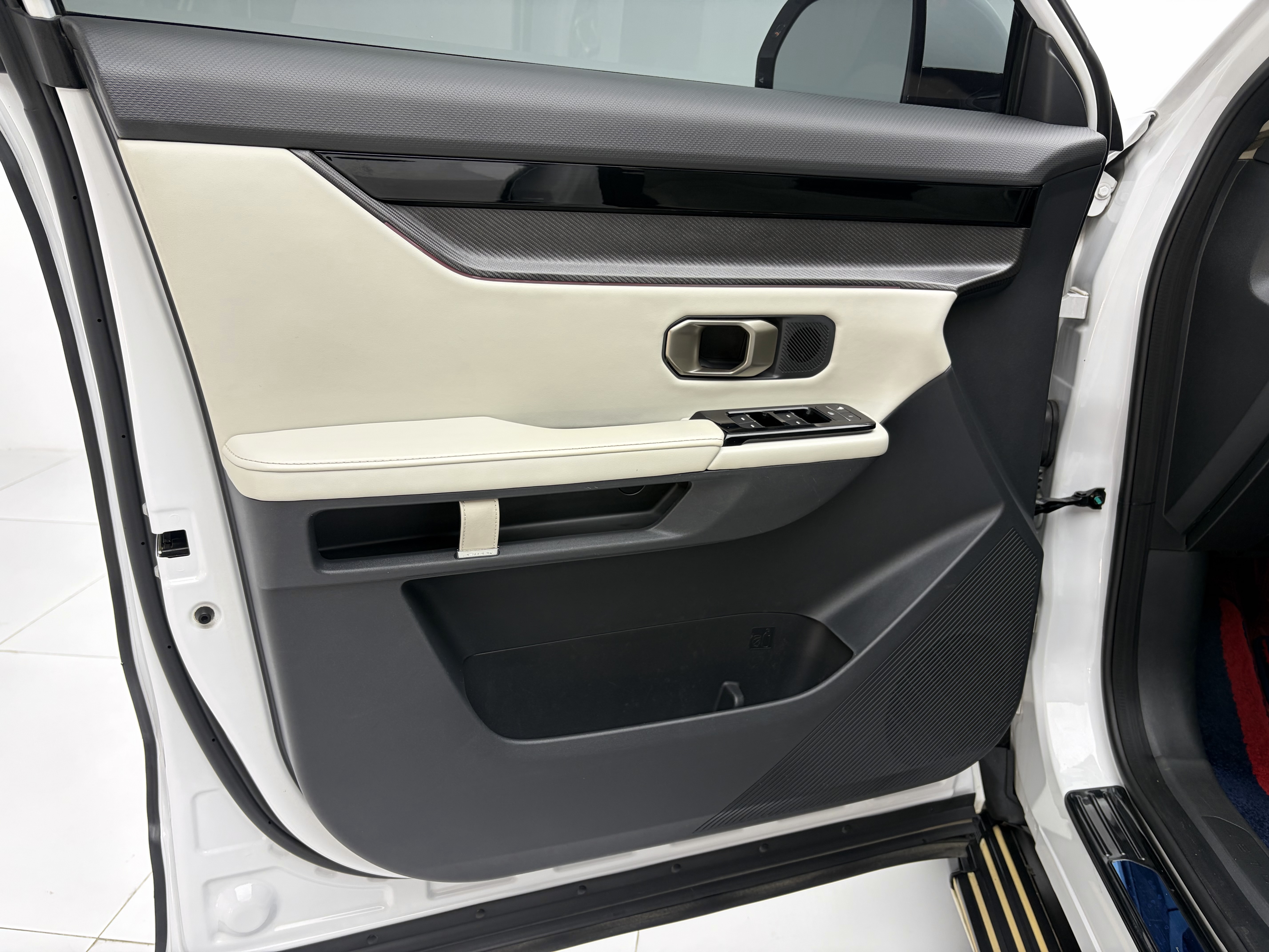 Dashing 2023 car image #10