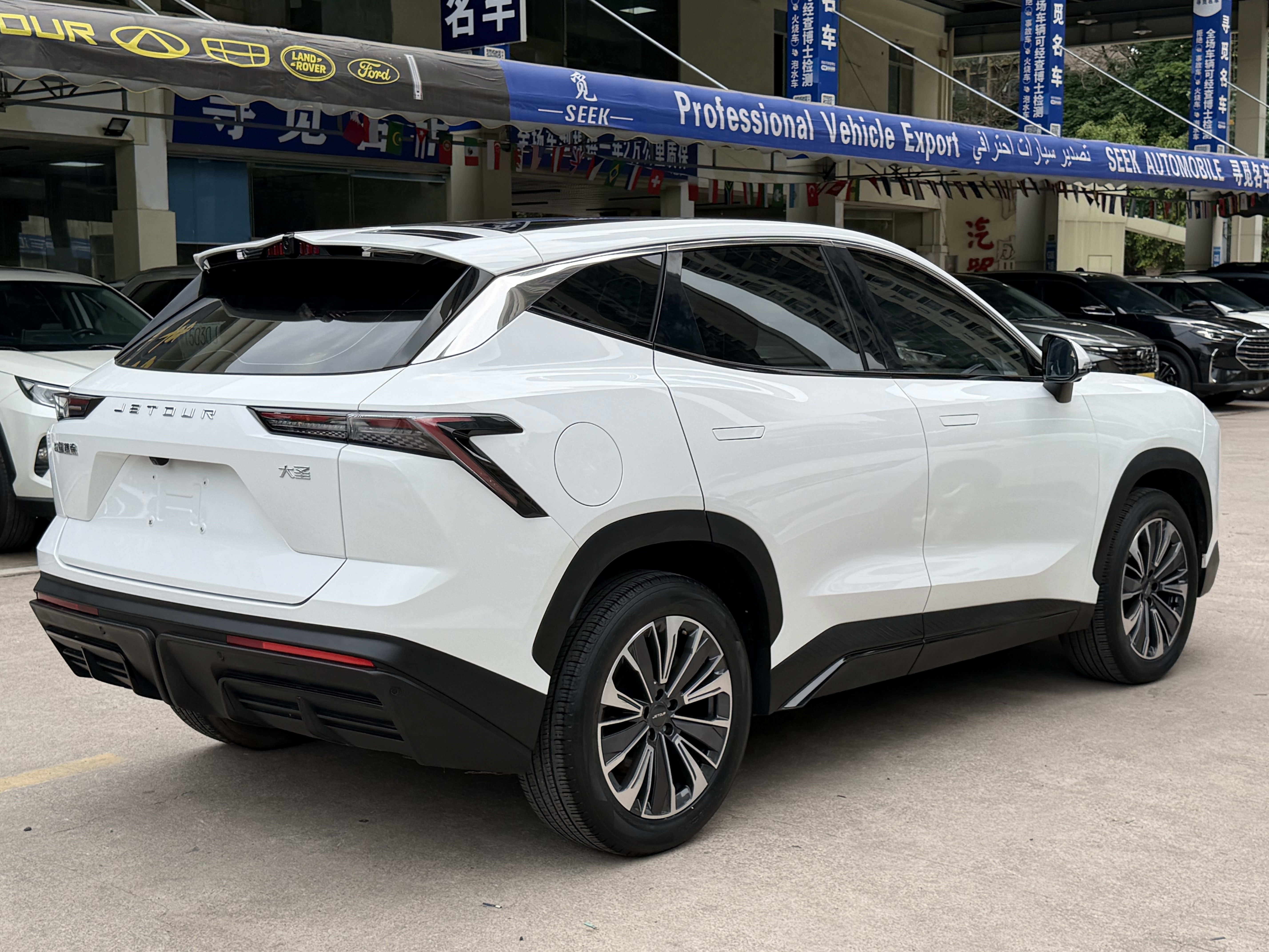 Dashing 2022 immagine di auto #10