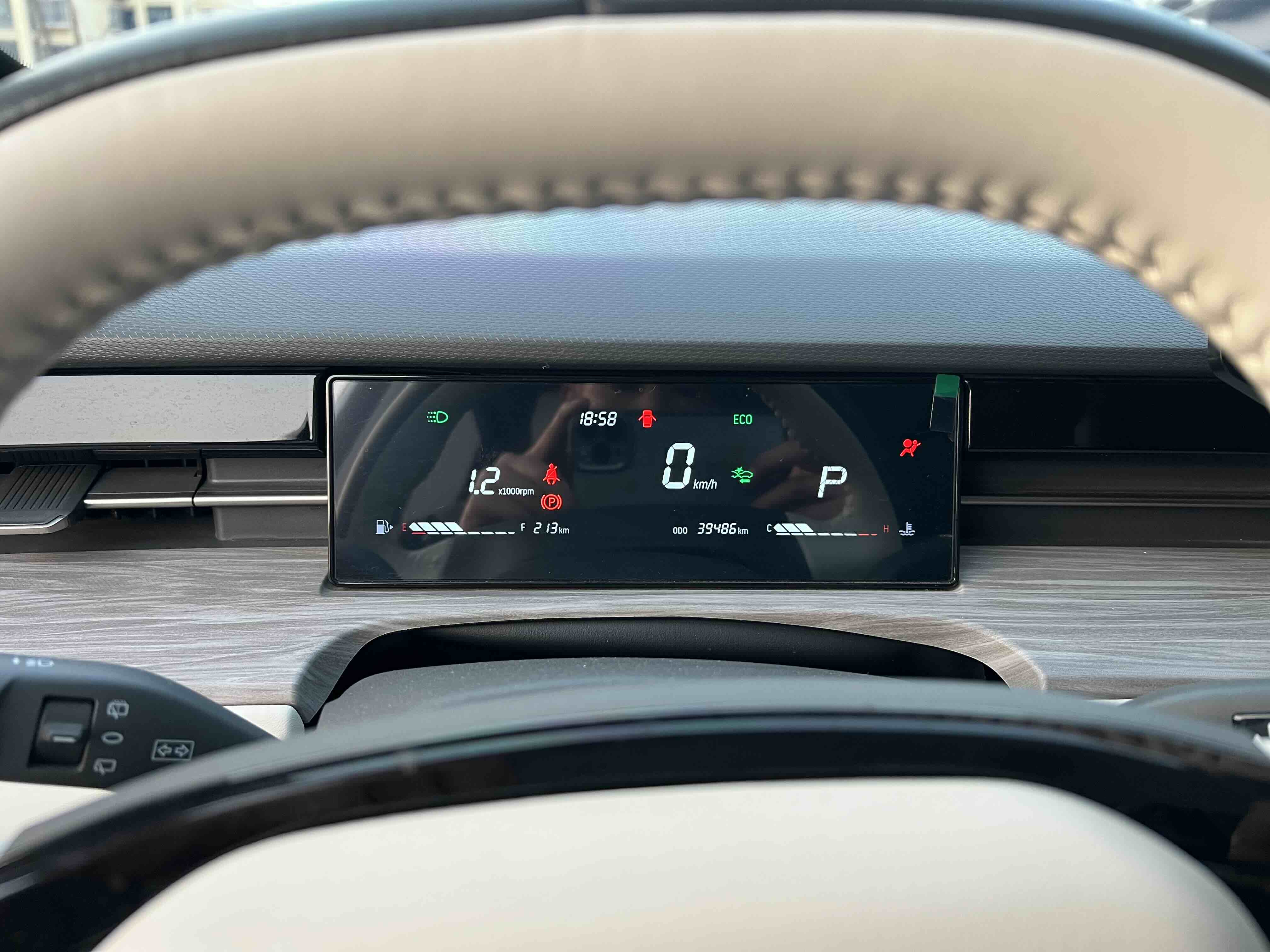 Dashing 2023 car image #10