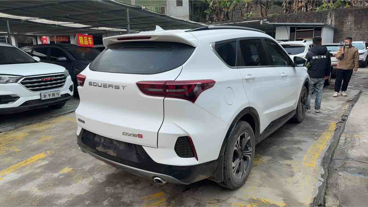 Soueast DX8 S 2023 #10 Soueast DX8 S 2023 car image #10