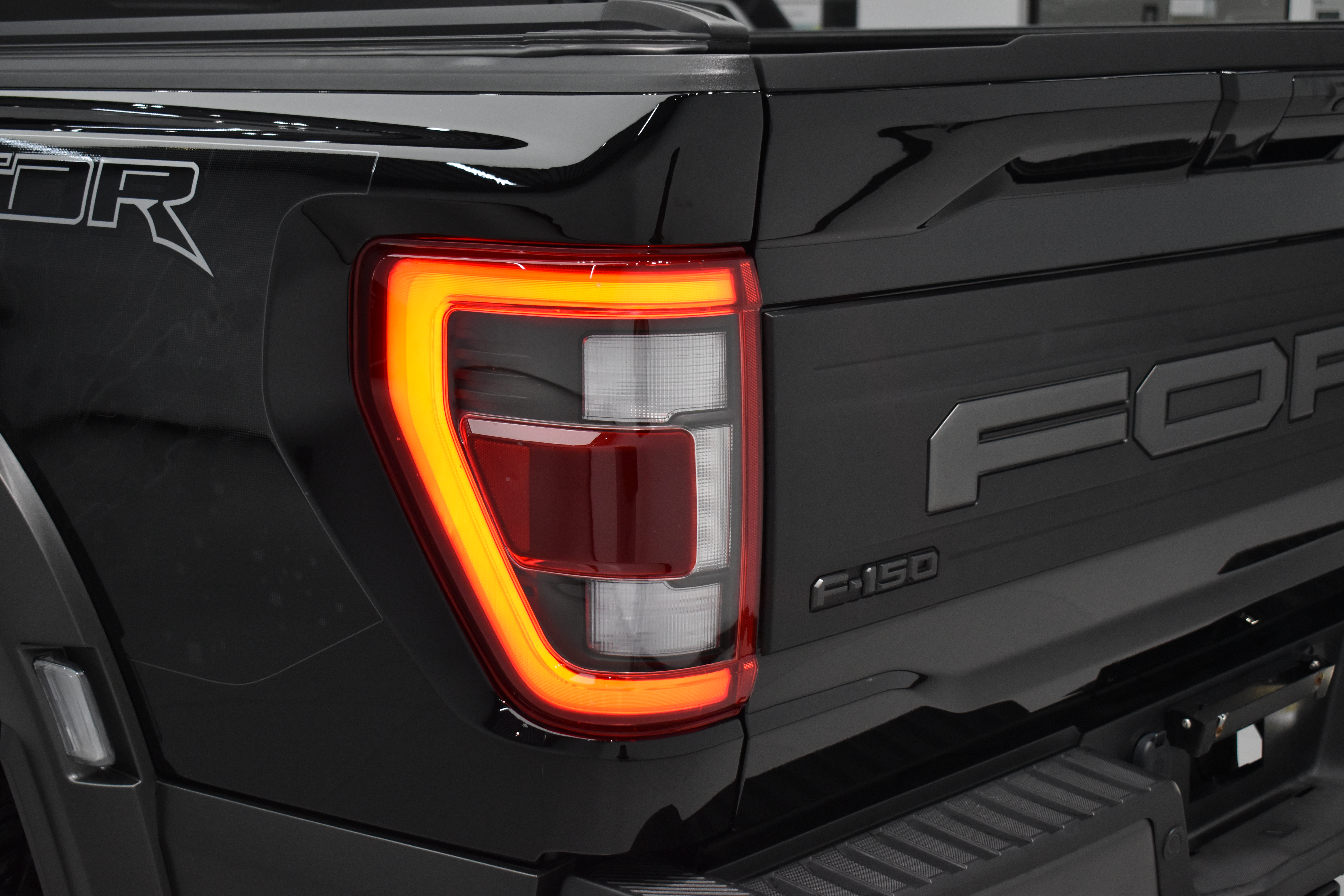 Ford F-150 Raptor 2024 immagine di auto #10