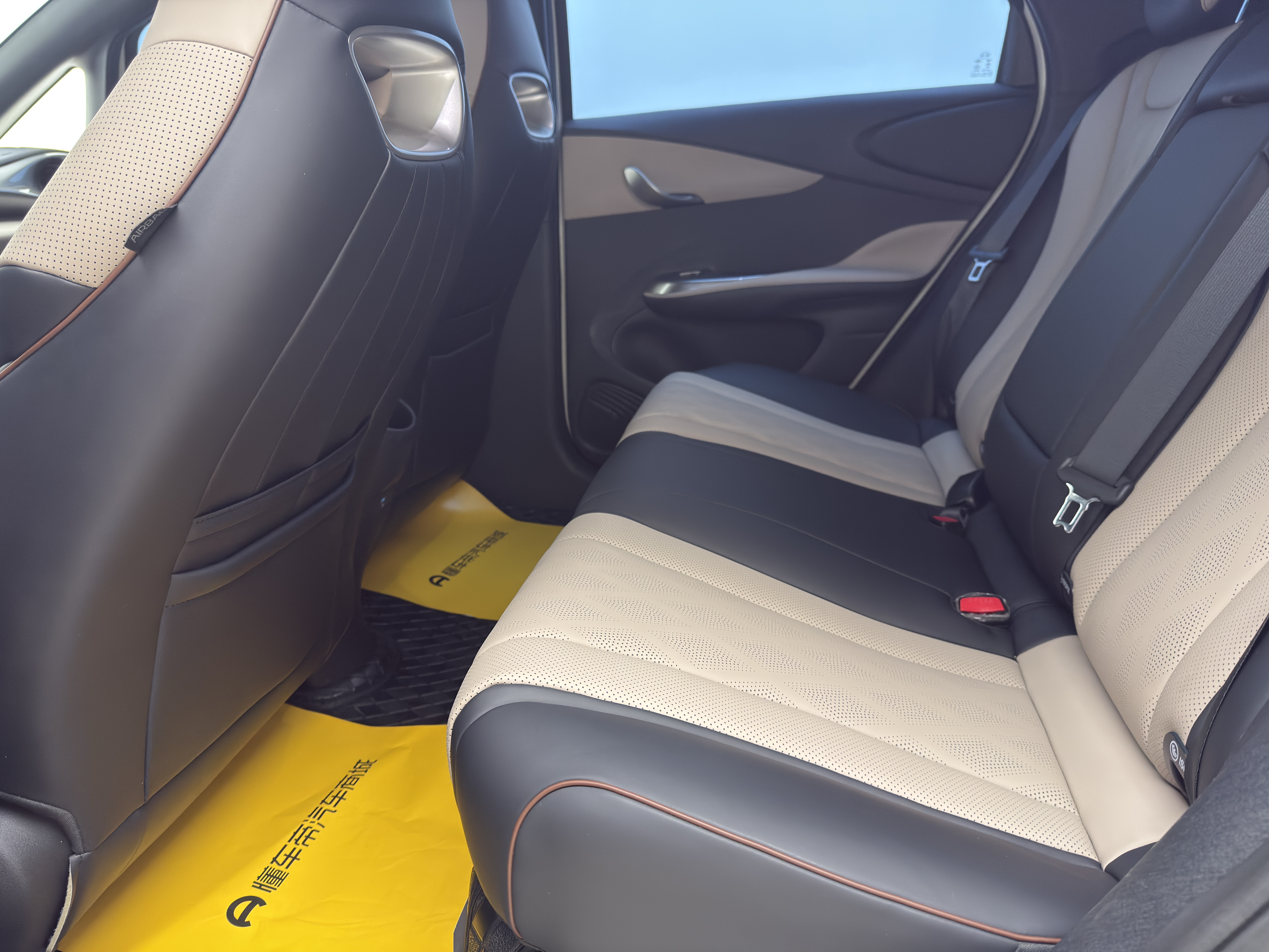 BYD Dolphin 2024 car image #10