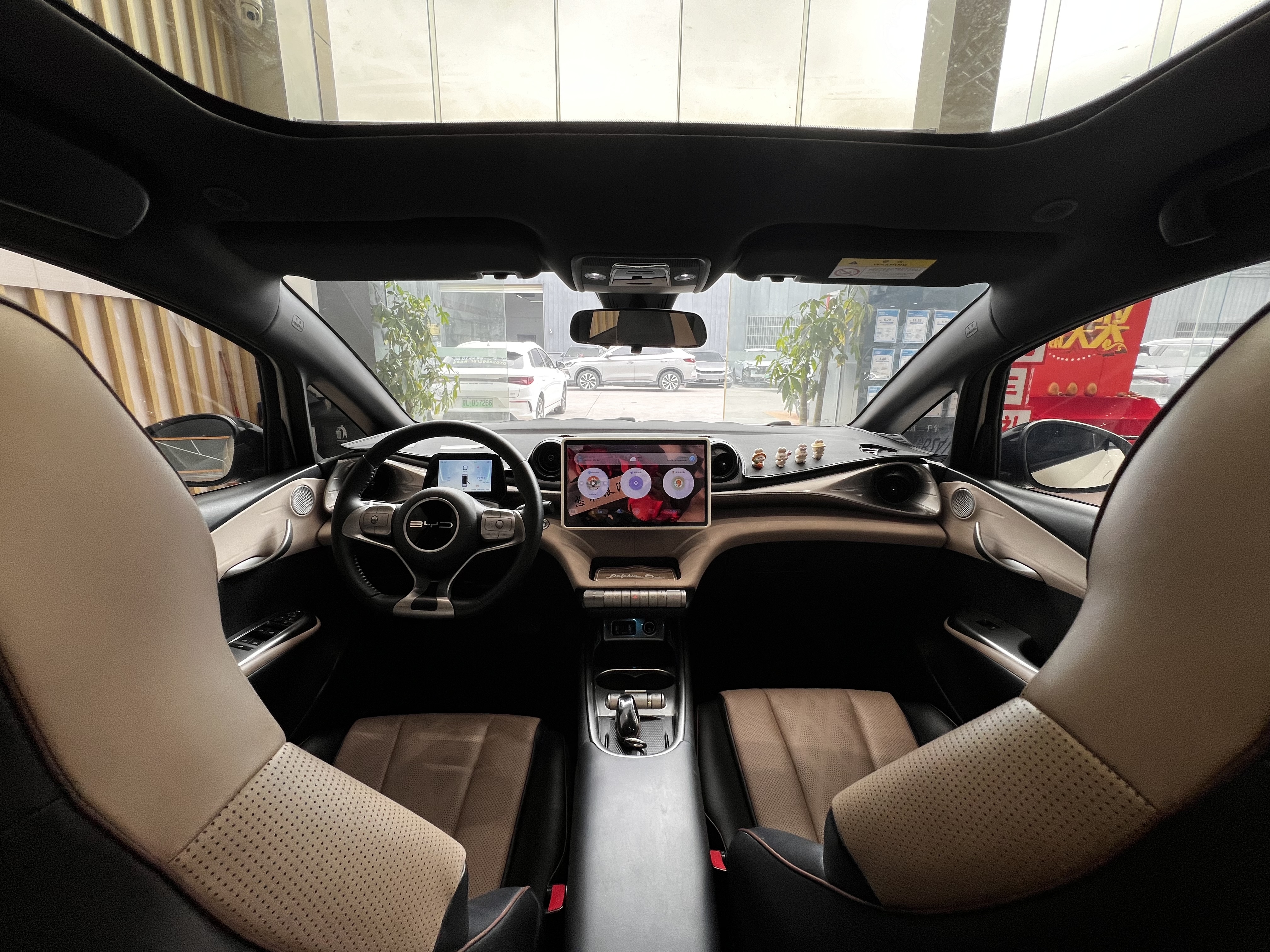 BYD Dolphin 2023 car image #10