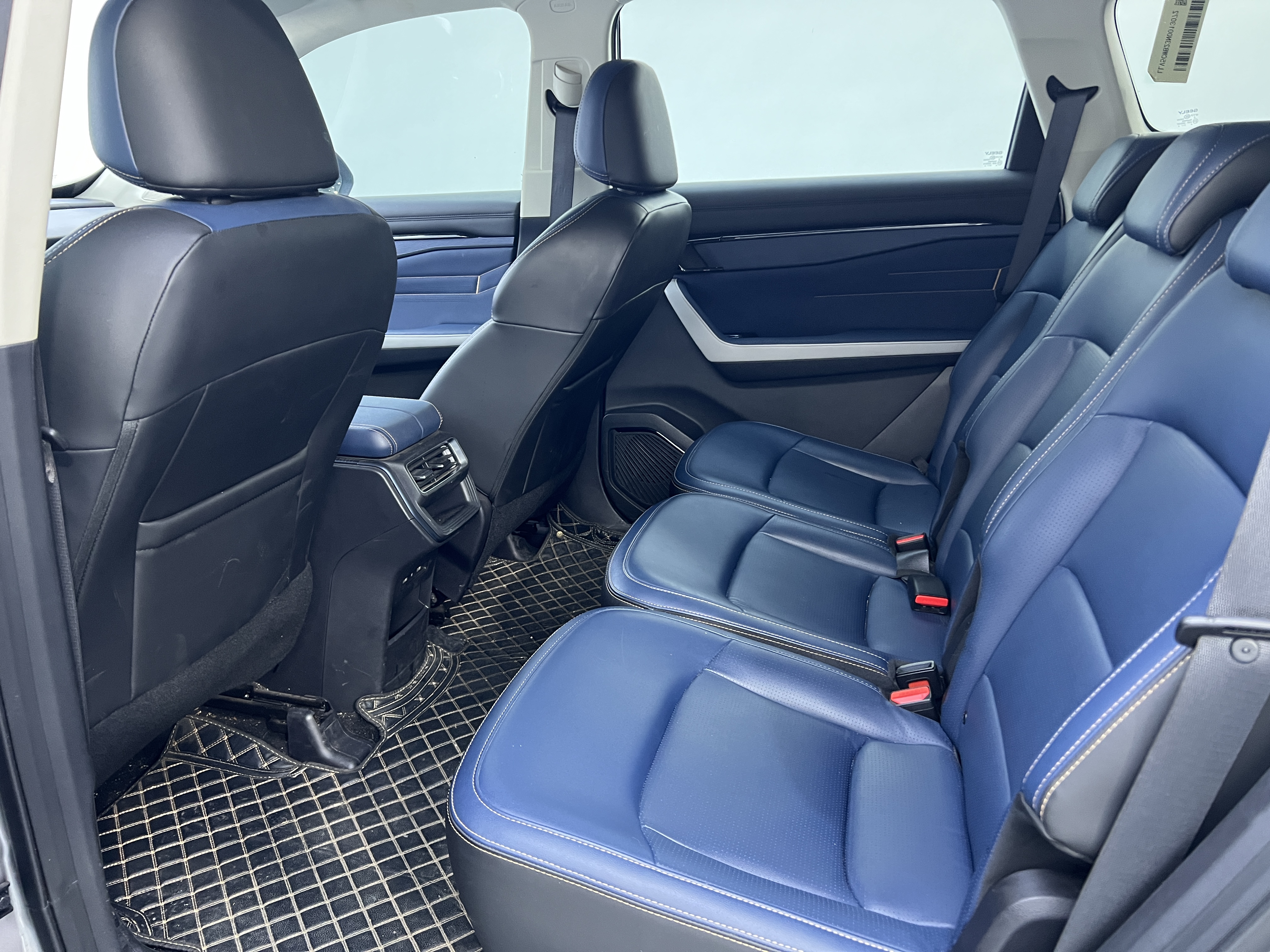 睿蓝汽车 睿蓝9 2023 汽车图片 #10