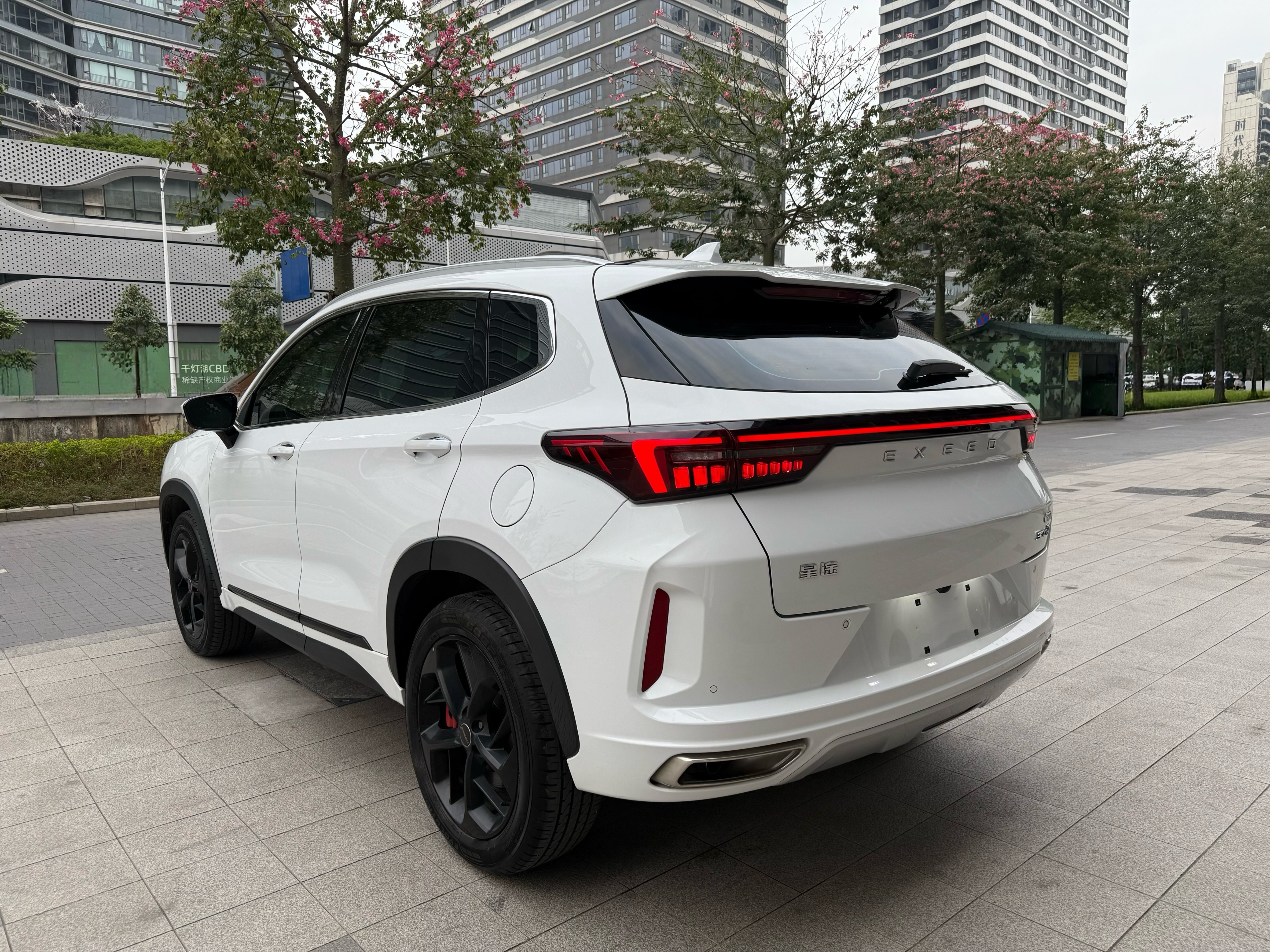 Exceed Chasing Wind 2024 #10 Exceed Chasing Wind 2024 car image #10