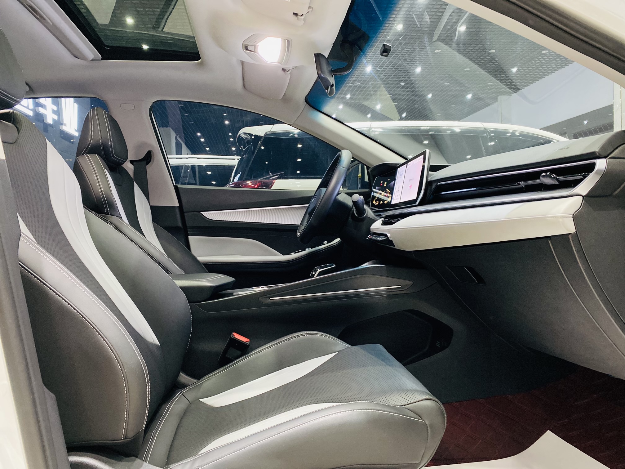 GEELY Binray 2024 immagine di auto #10