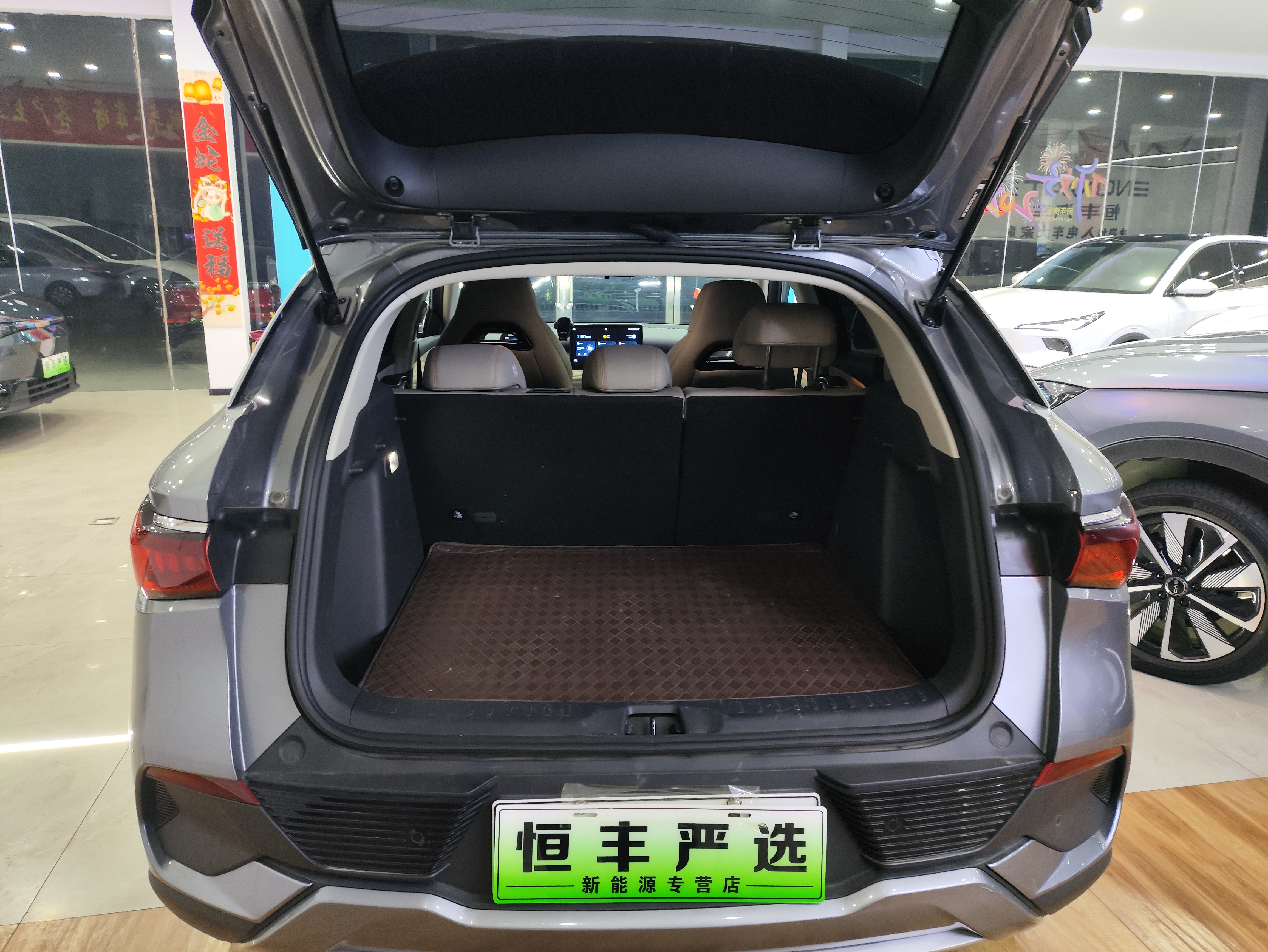 BYD Yuan Plus 2025 car image #10