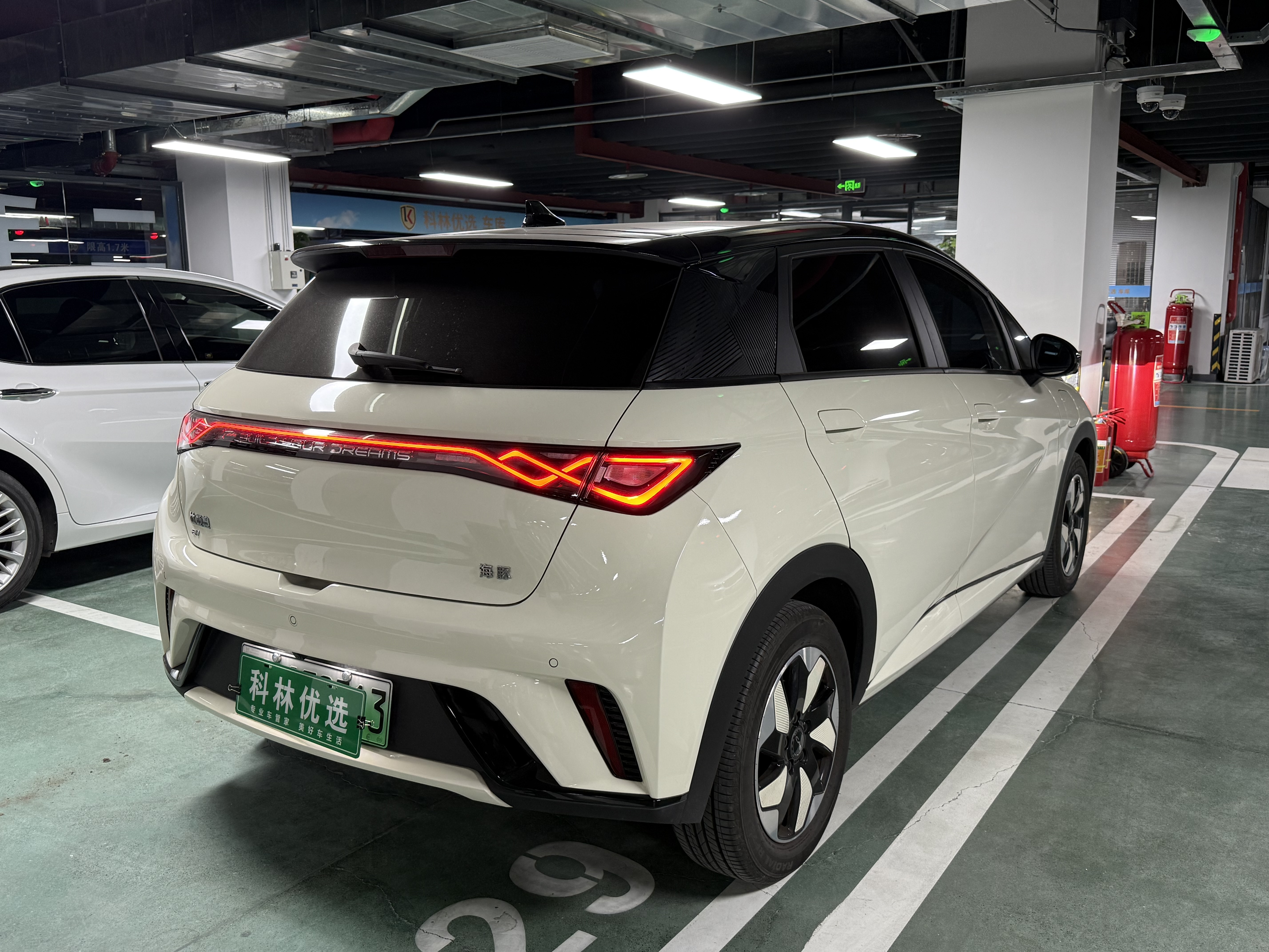 BYD Dolphin 2024 imagem de carro #10