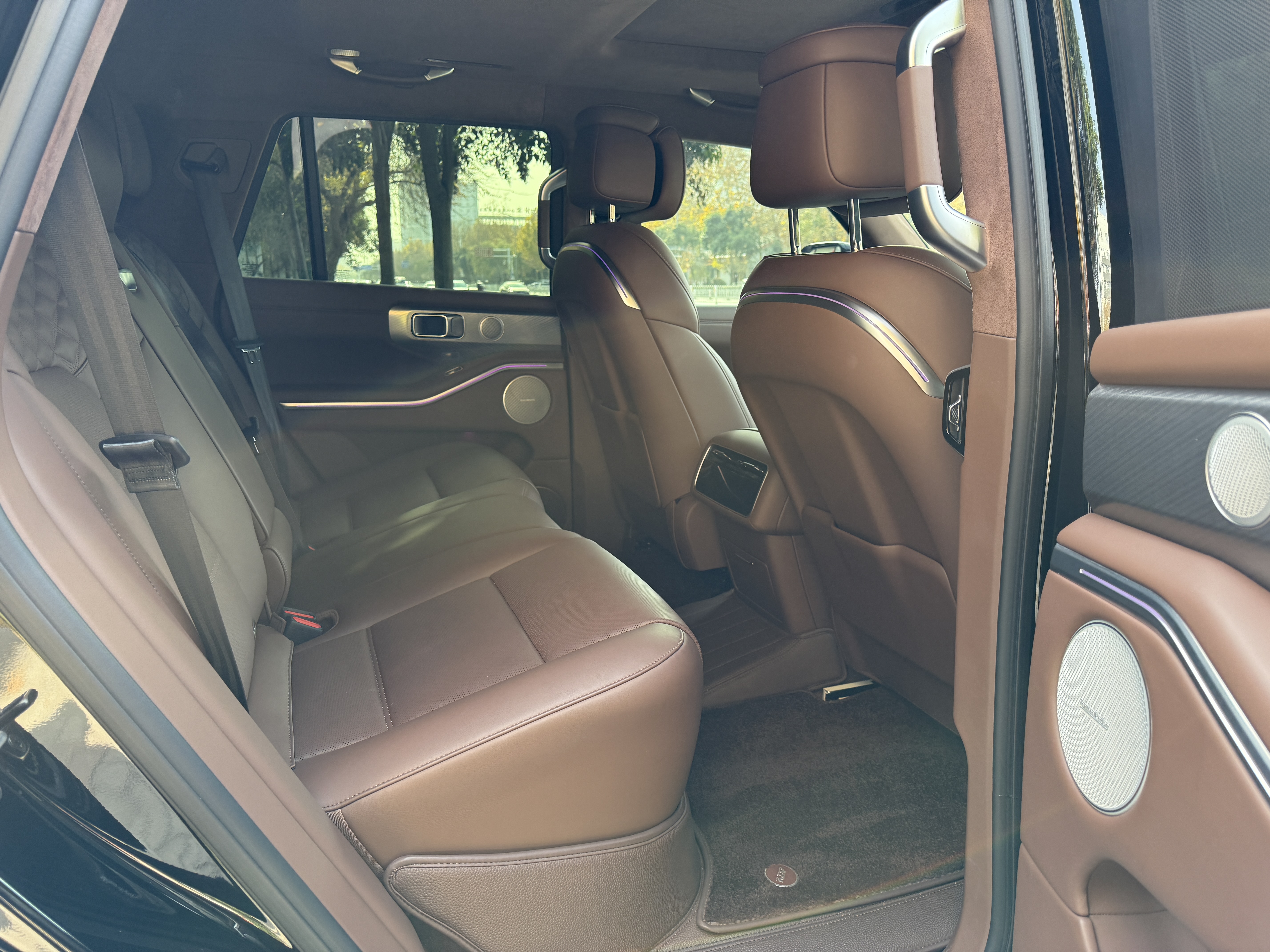 Tank 700 New Energy 2024 immagine di auto #10