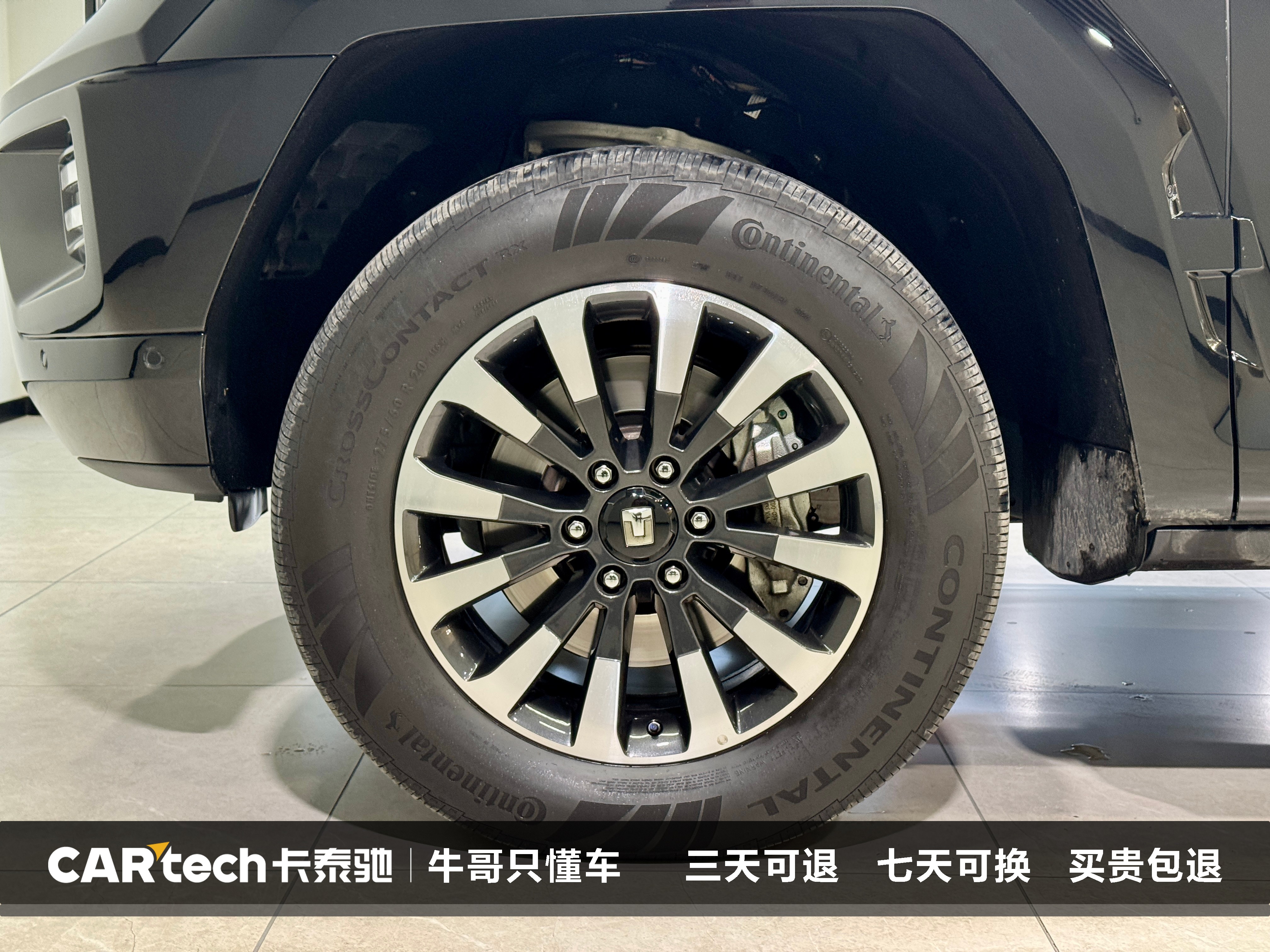 Tank 700 New Energy 2024 immagine di auto #10