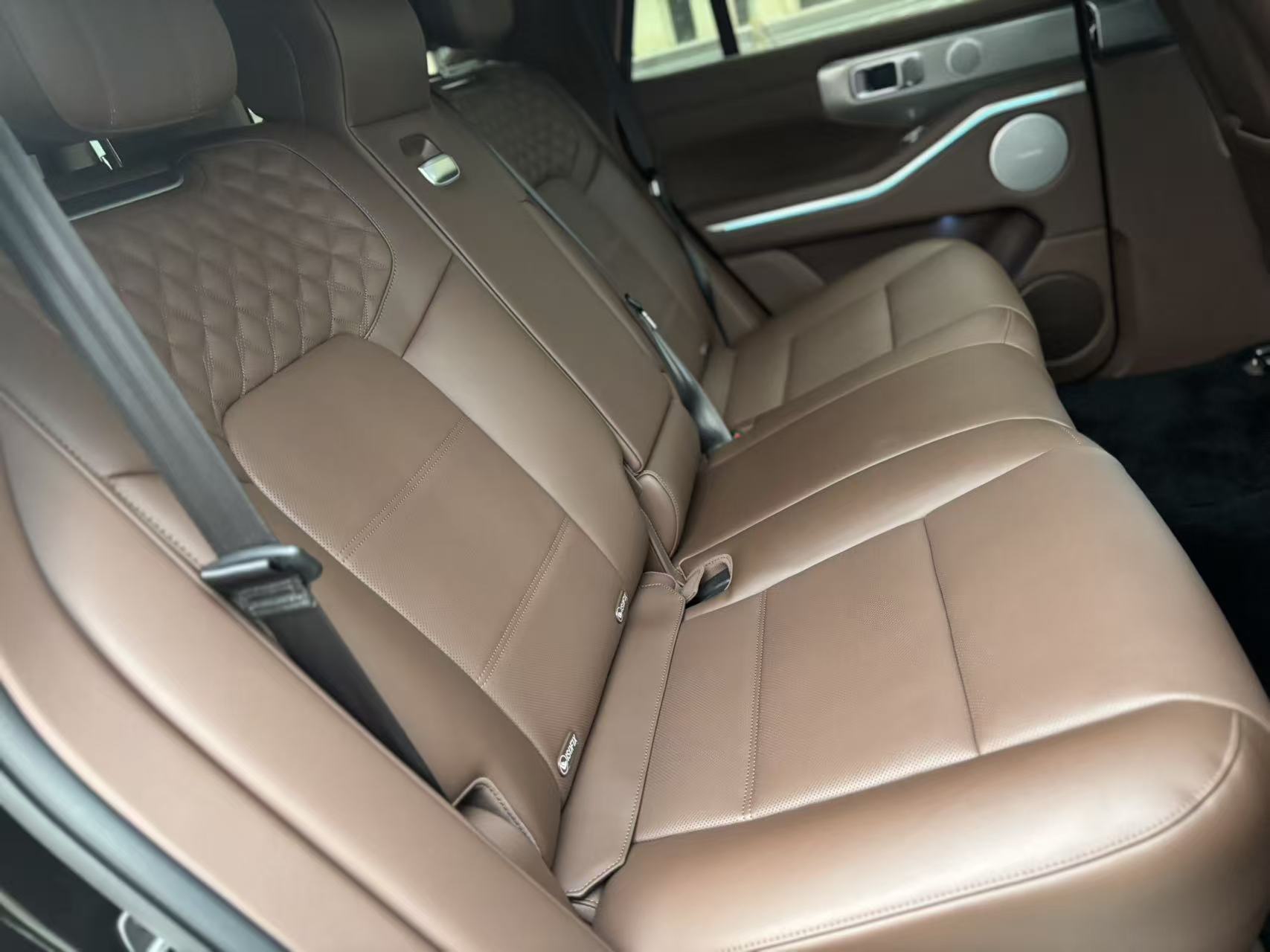 Tank 700 New Energy 2024 immagine di auto #10