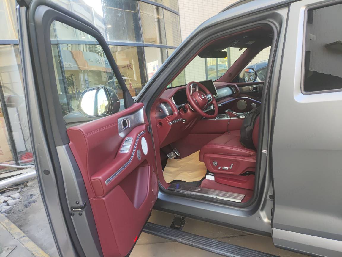 Tank 700 New Energy 2024 immagine di auto #10