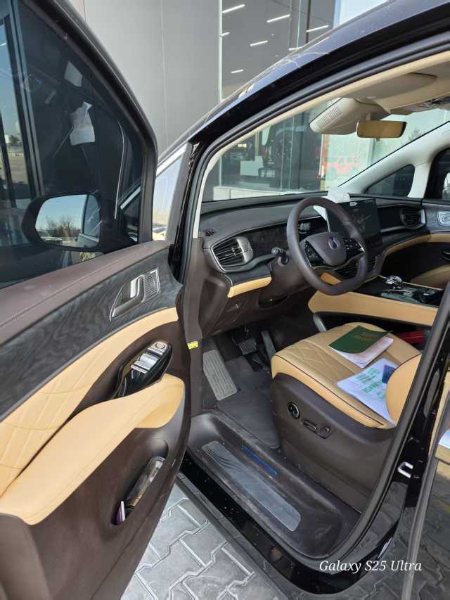 Denza D9 2025 car image #10