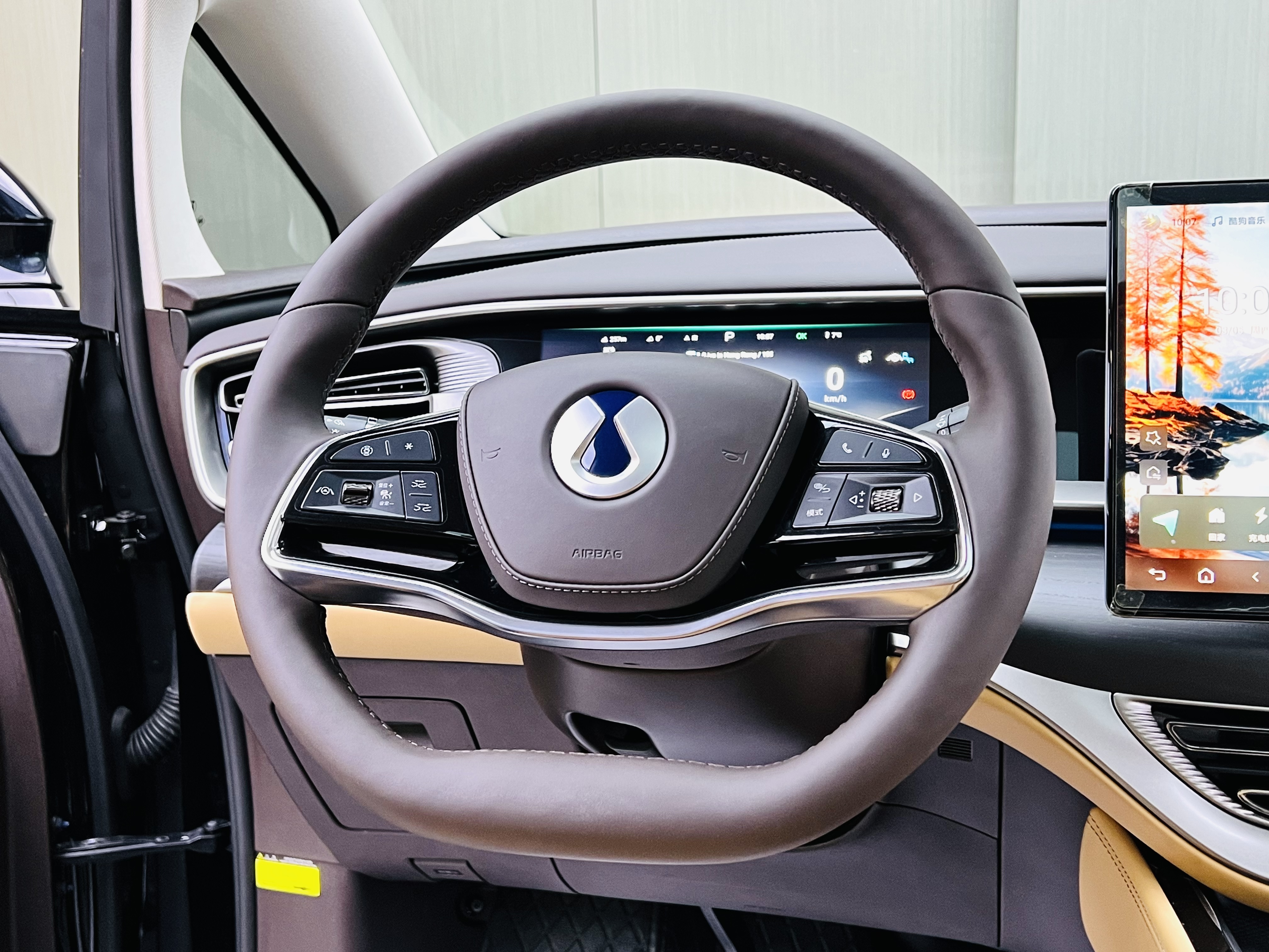 Denza D9 2025 image de voiture #10