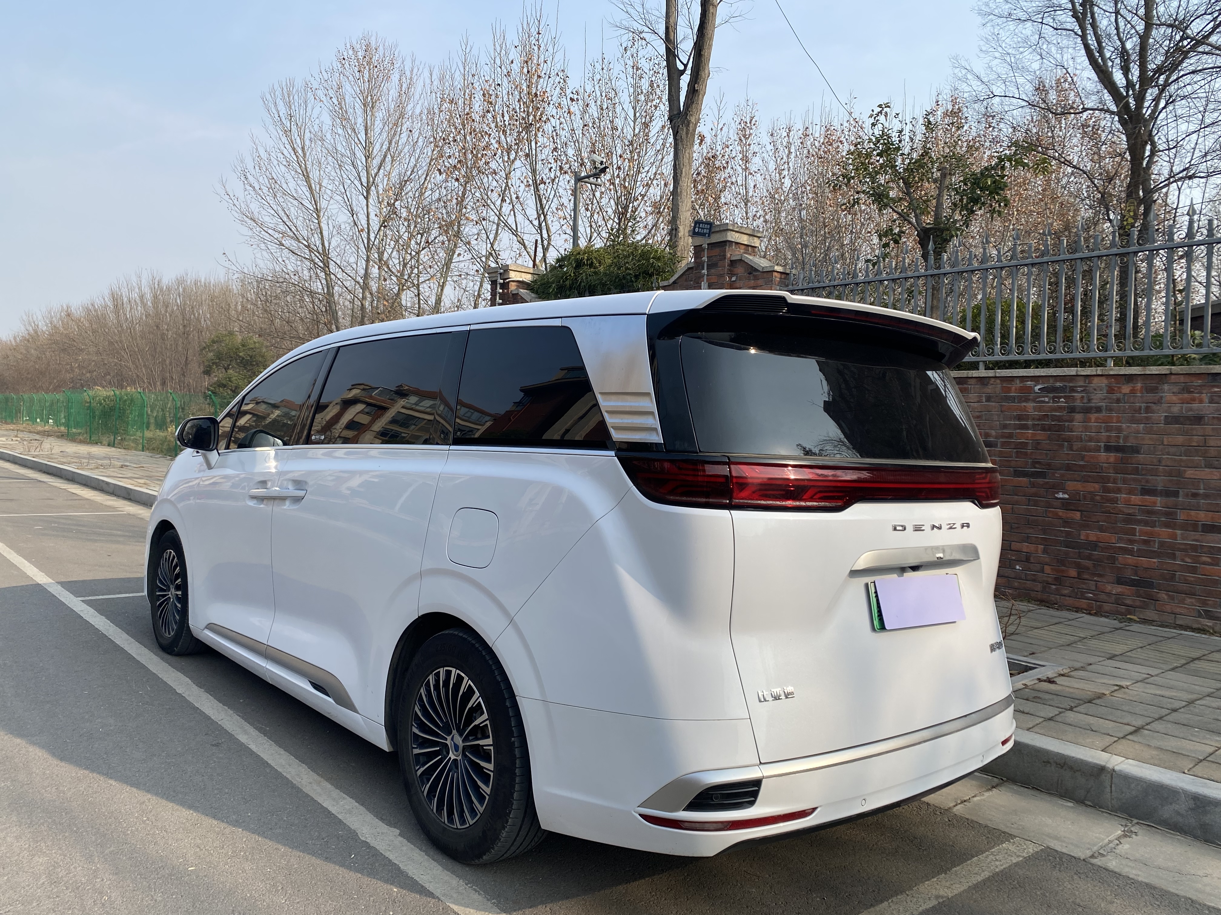 Denza D9 2024 imagem de carro #10