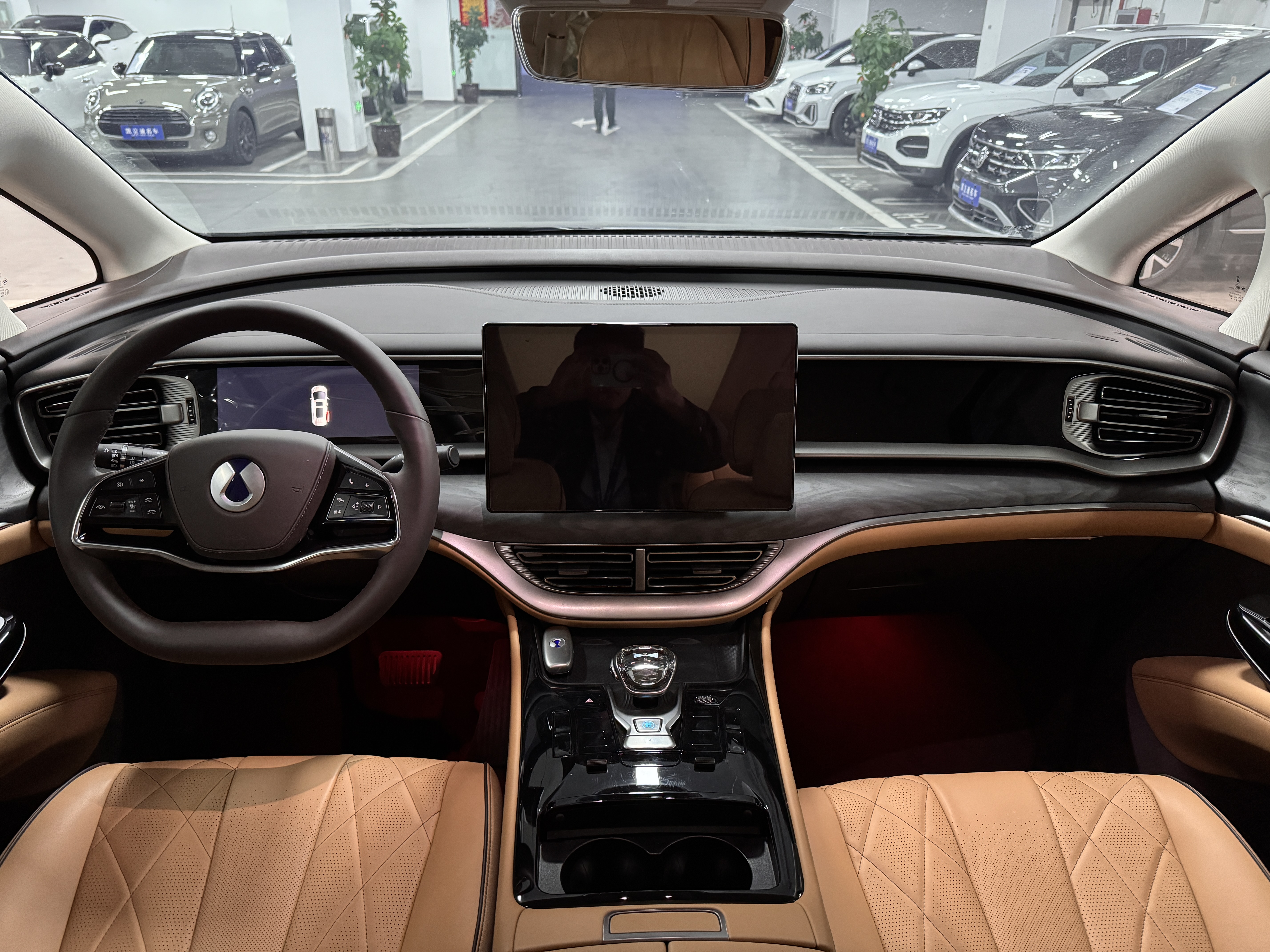 Denza D9 2024 صورة سيارة #10