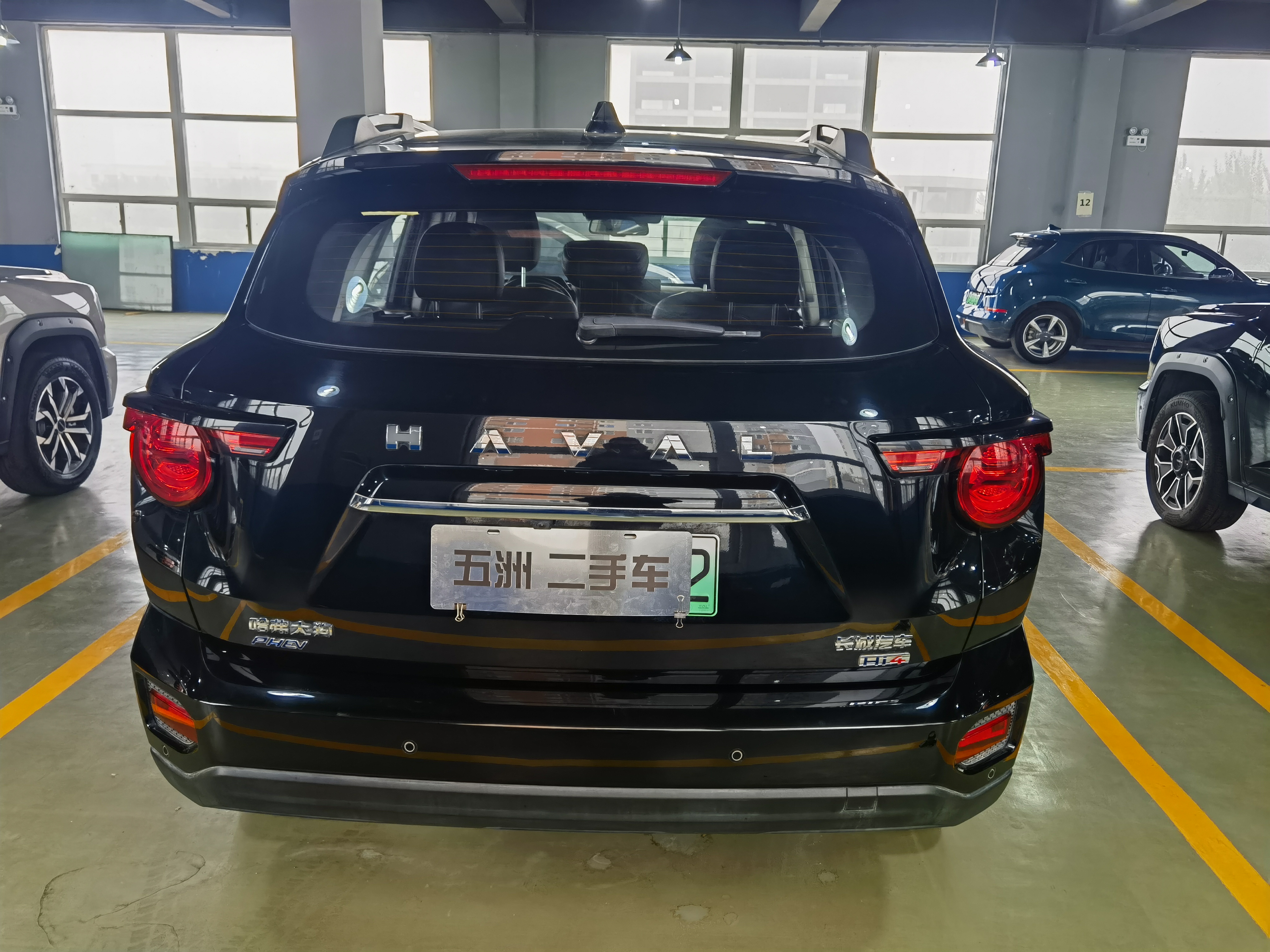 Haval X Dog 2 New Energy 2024 car image #10