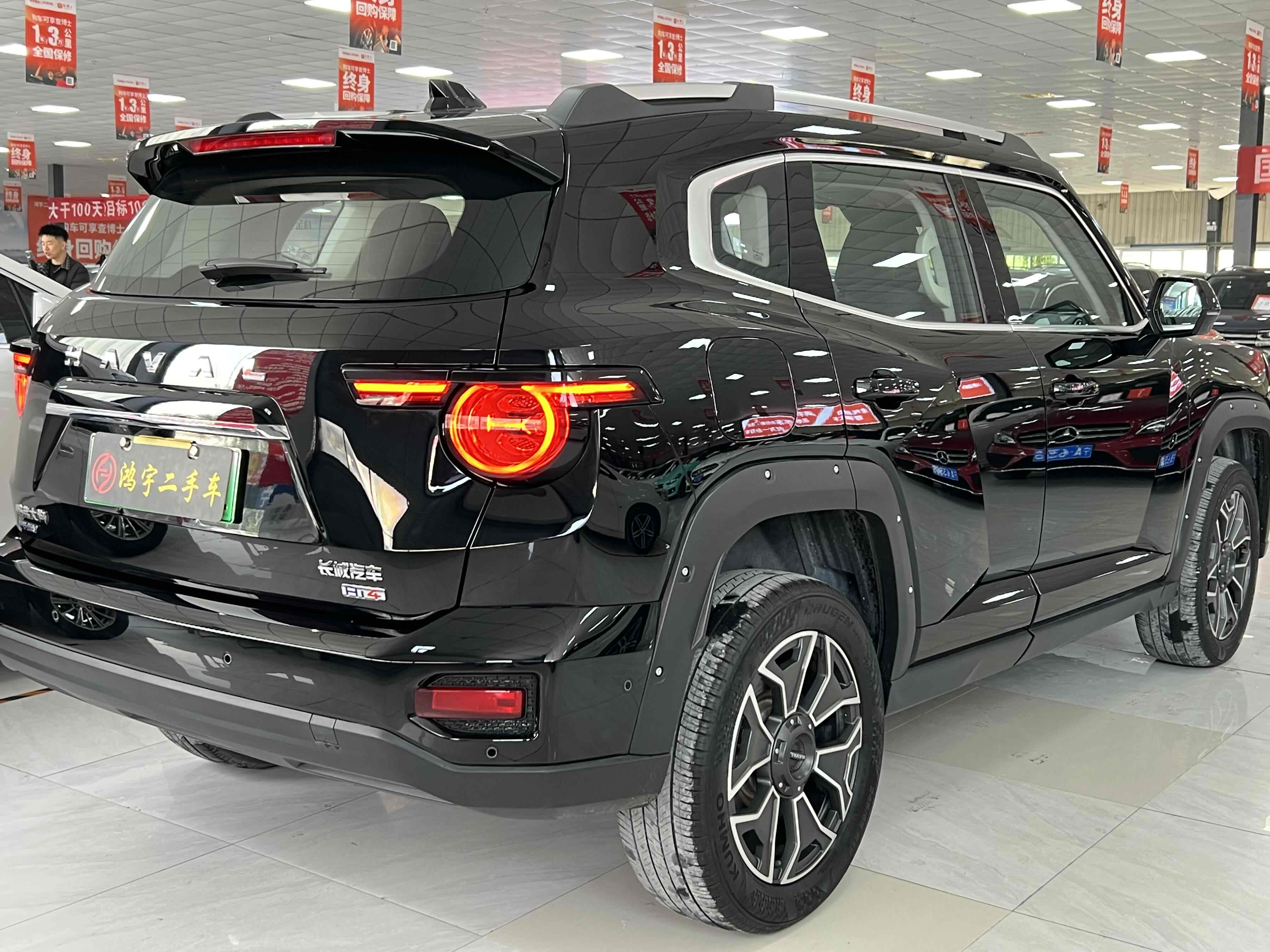 Haval X Dog 2 New Energy 2024 car image #10